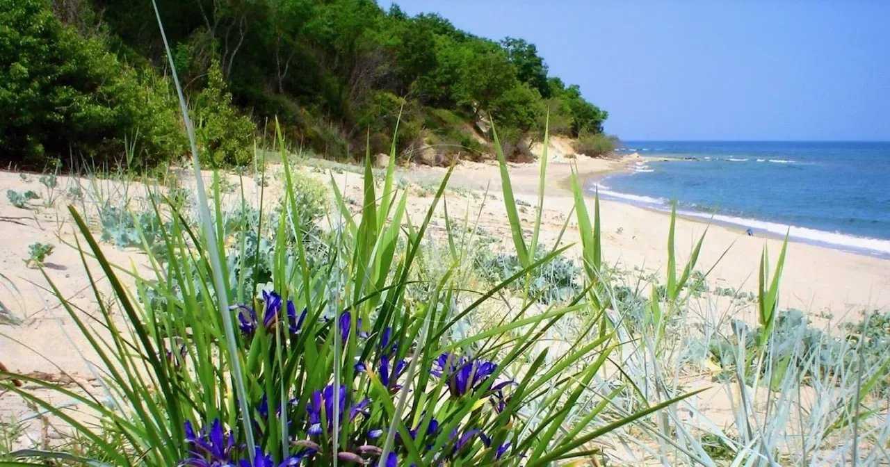 Priseltsi  - Maison 6 Pi&egrave;ces 5 Chambres