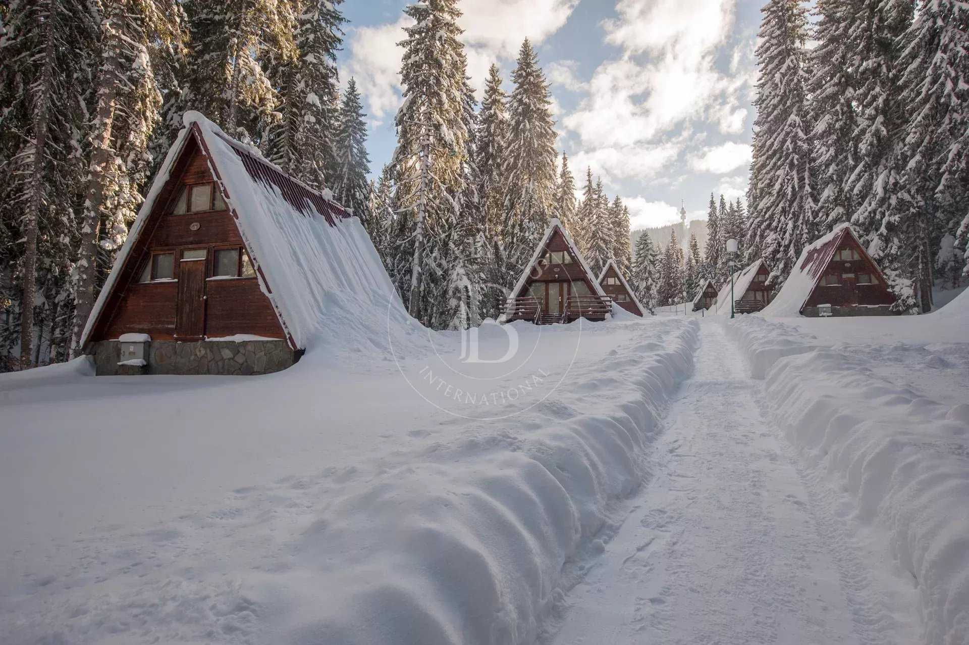 Pamporovo  - Business 