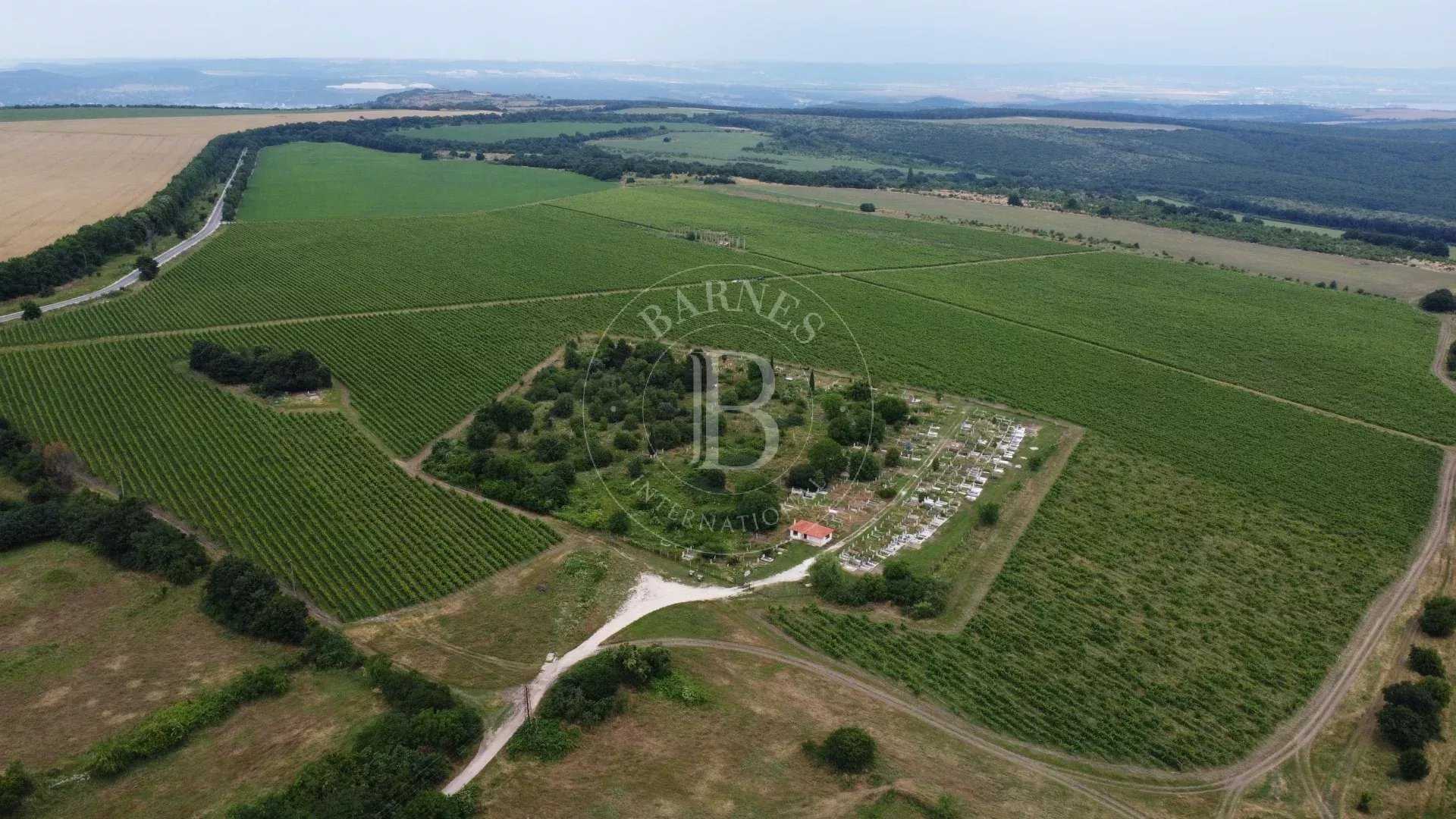 Varna  - Agricultural exploitation 