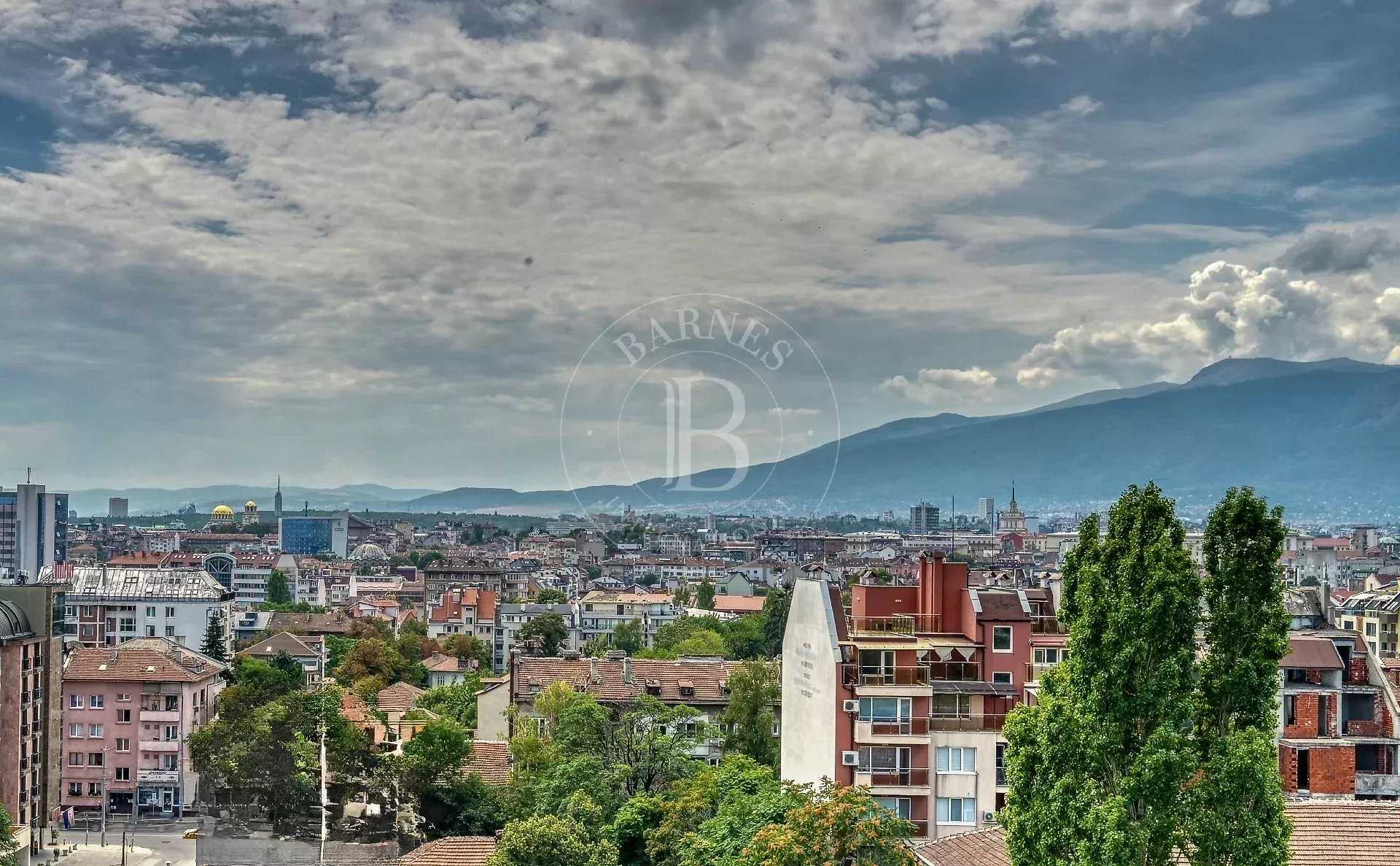 Sofia  - Bureaux 3 Pi&egrave;ces, 1 Chambre