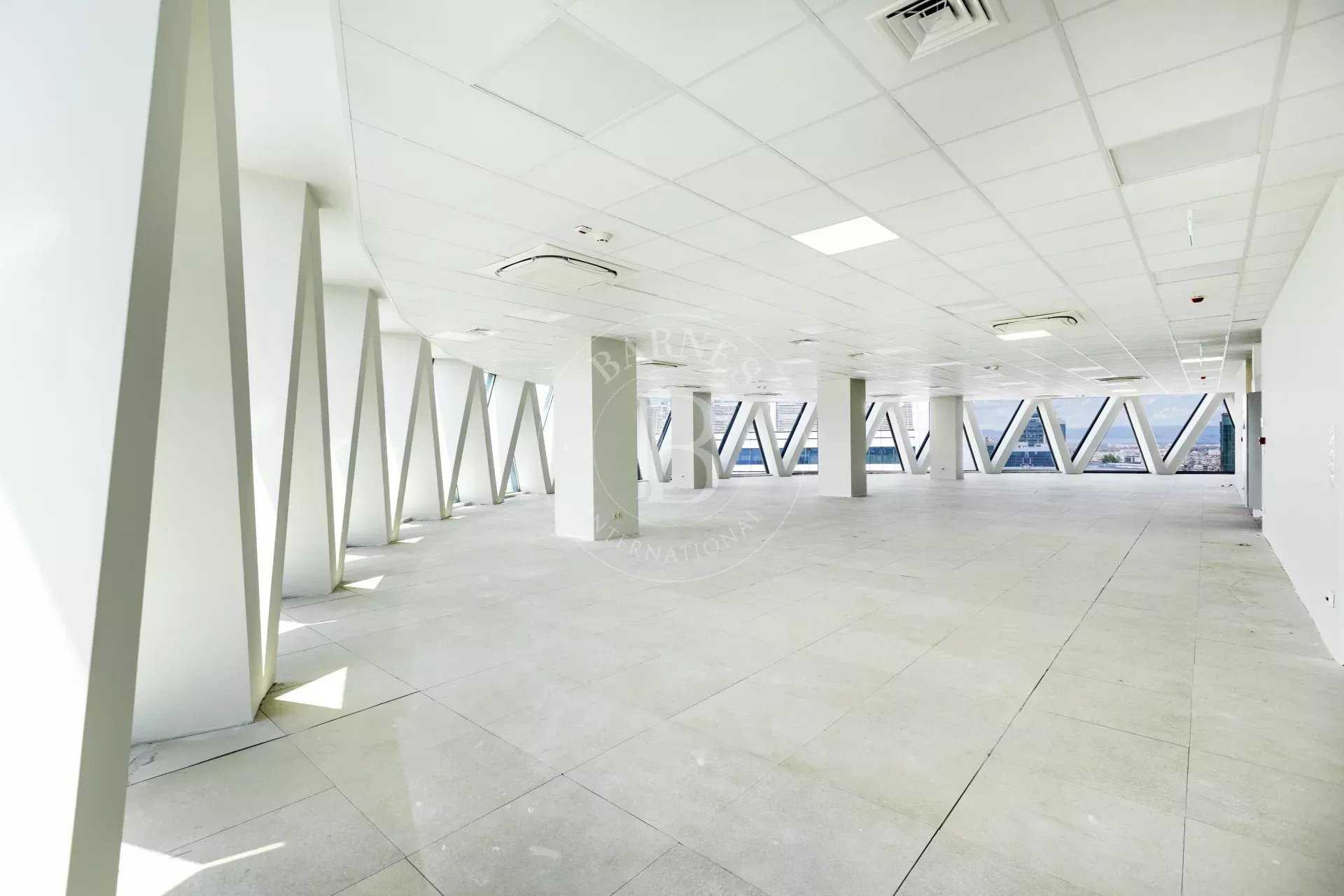 Offices Sofia  -  ref 7132179 (picture 3)