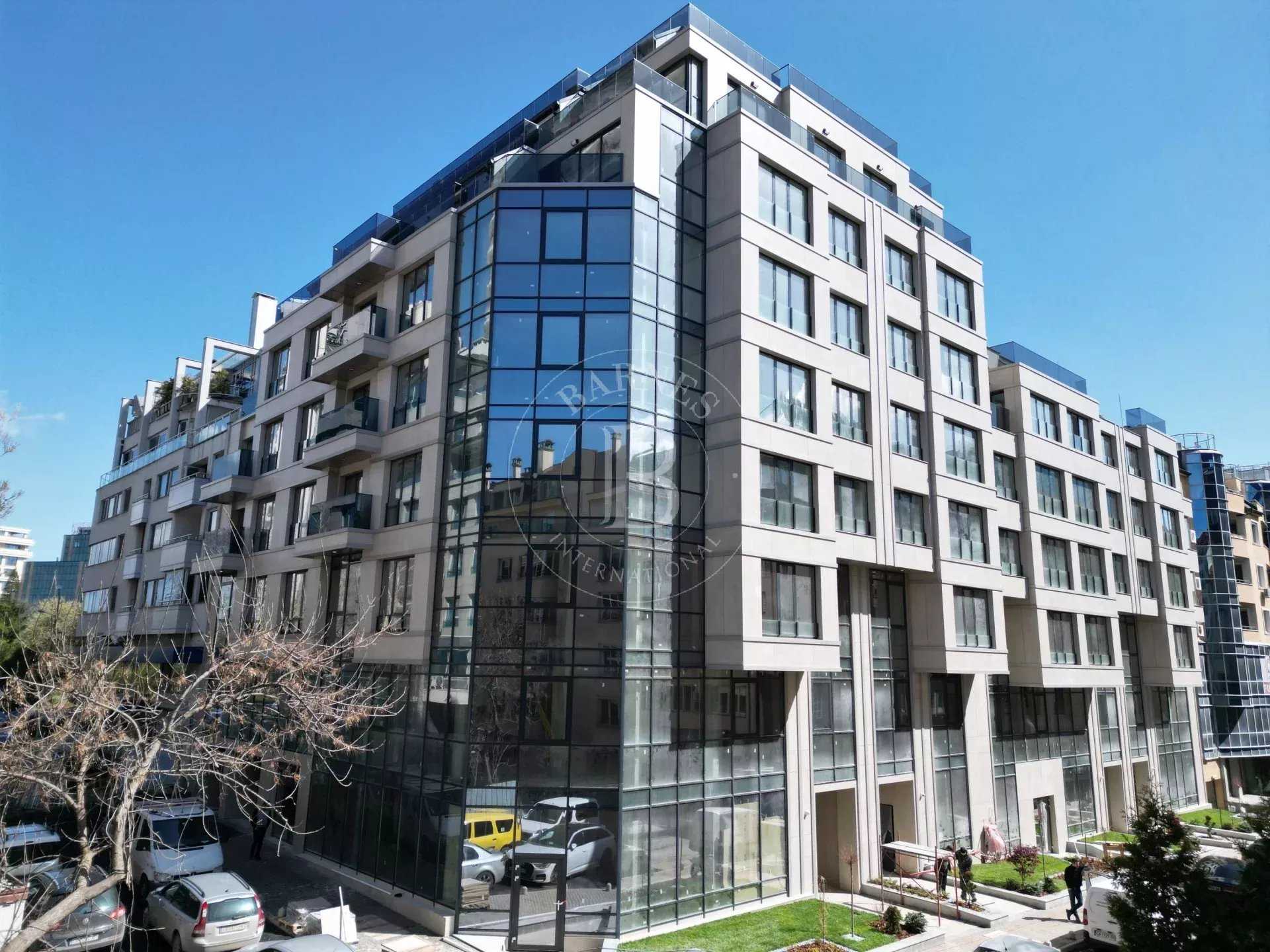 Local commercial Sofia  -  ref 6492585 (picture 2)