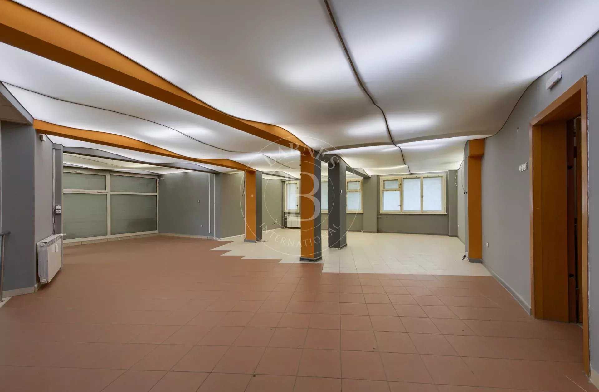 Bureaux Sofia  -  ref 85942155 (picture 3)