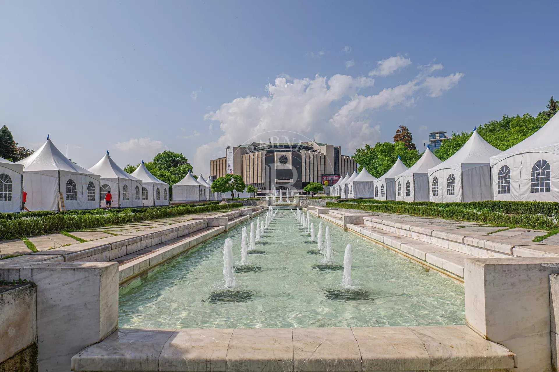 Commerce Sofia  -  ref 86430795 (picture 3)