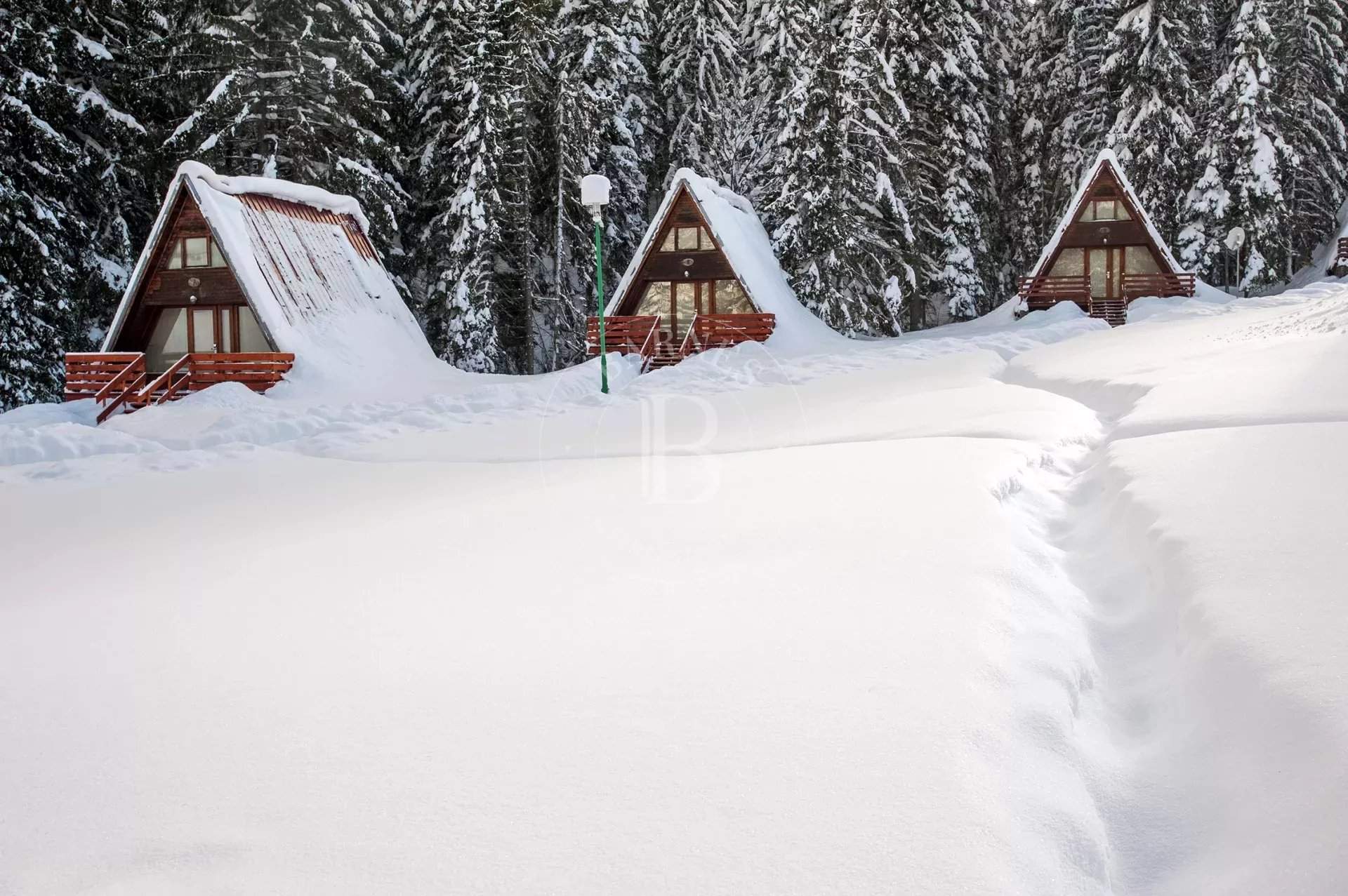 Pamporovo  - Business  - picture 9