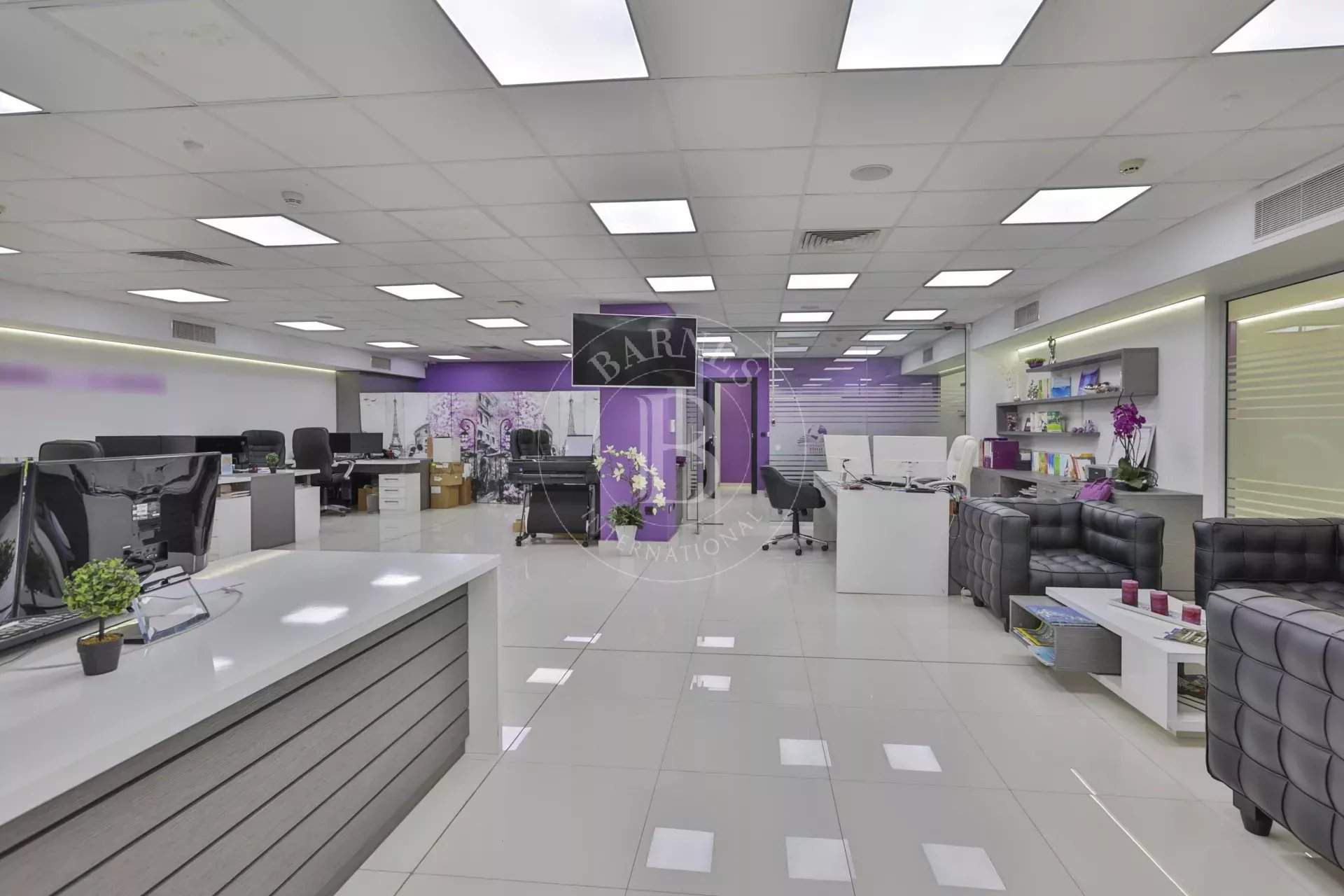 Sofia  - Offices  - picture 7