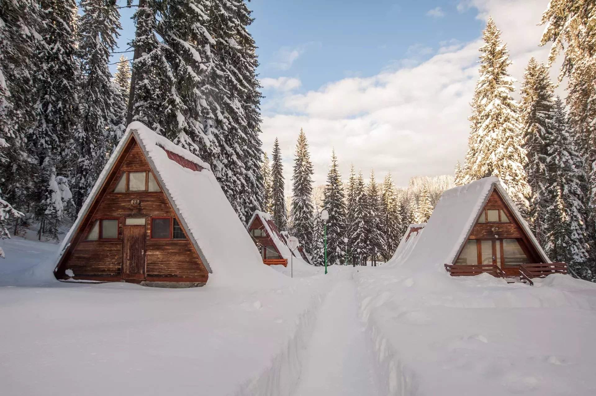 Pamporovo  - Business  - picture 11