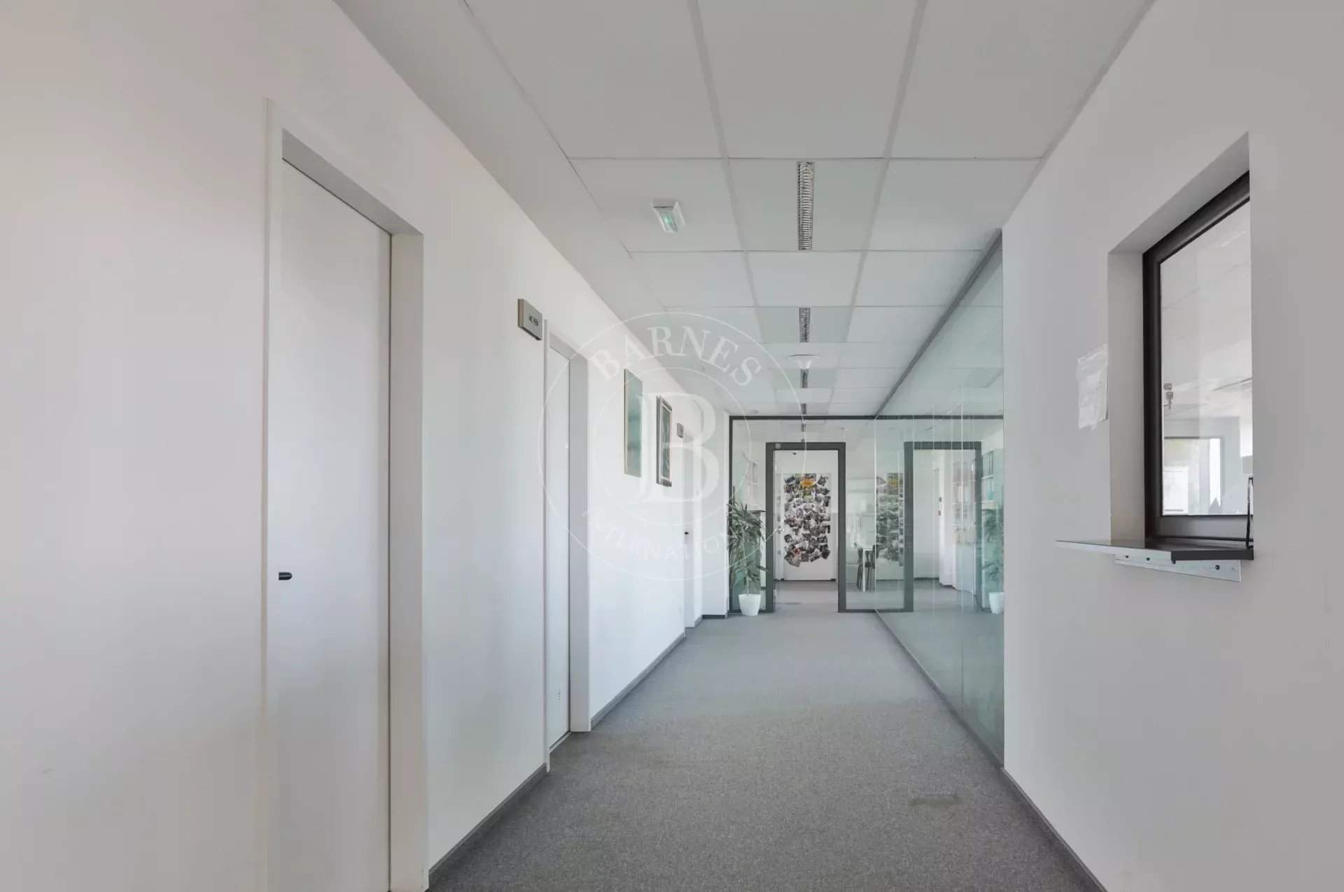 Sofia  - Offices  - picture 15