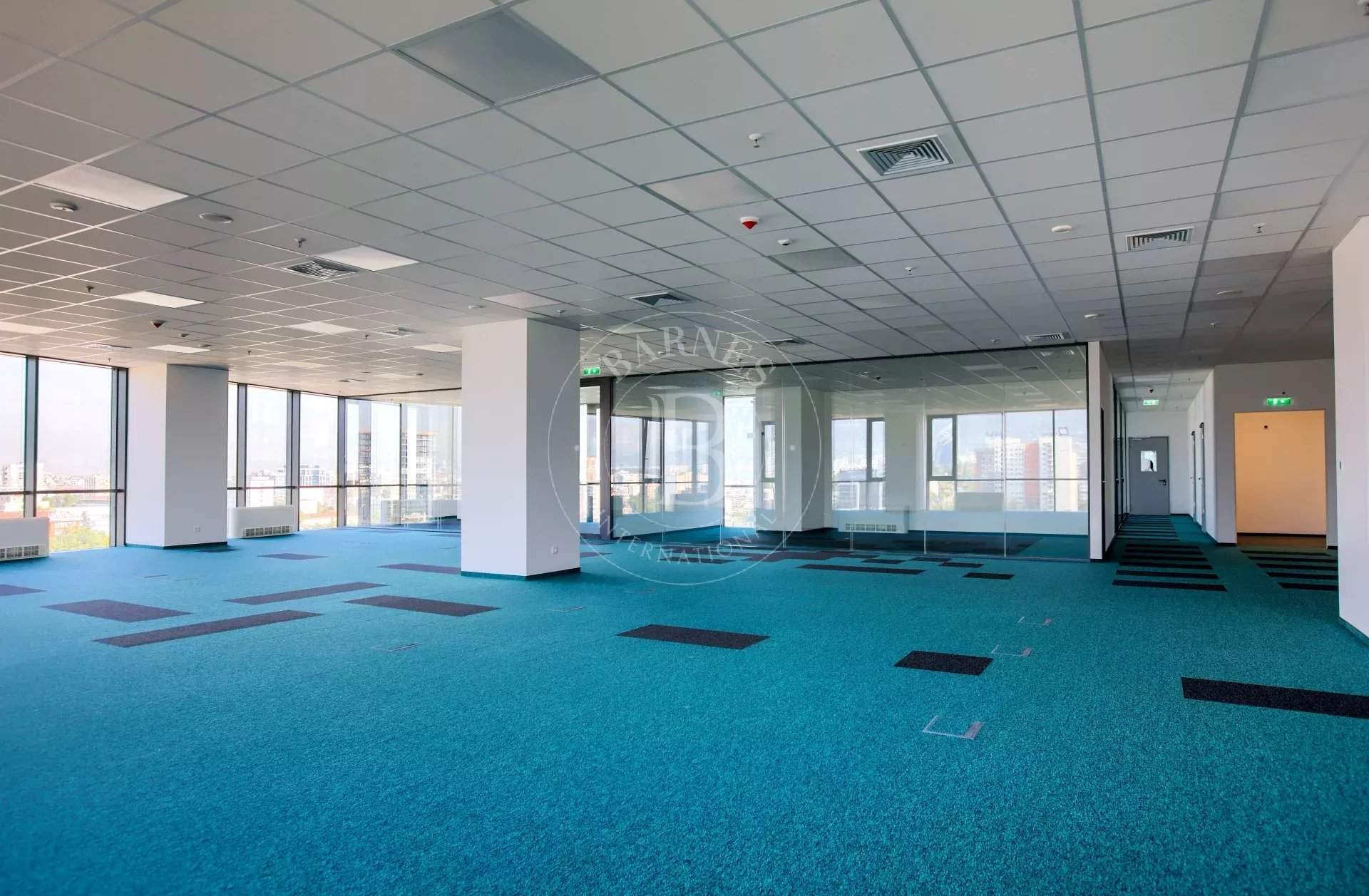 Sofia  - Bureaux 10 Pièces - picture 4