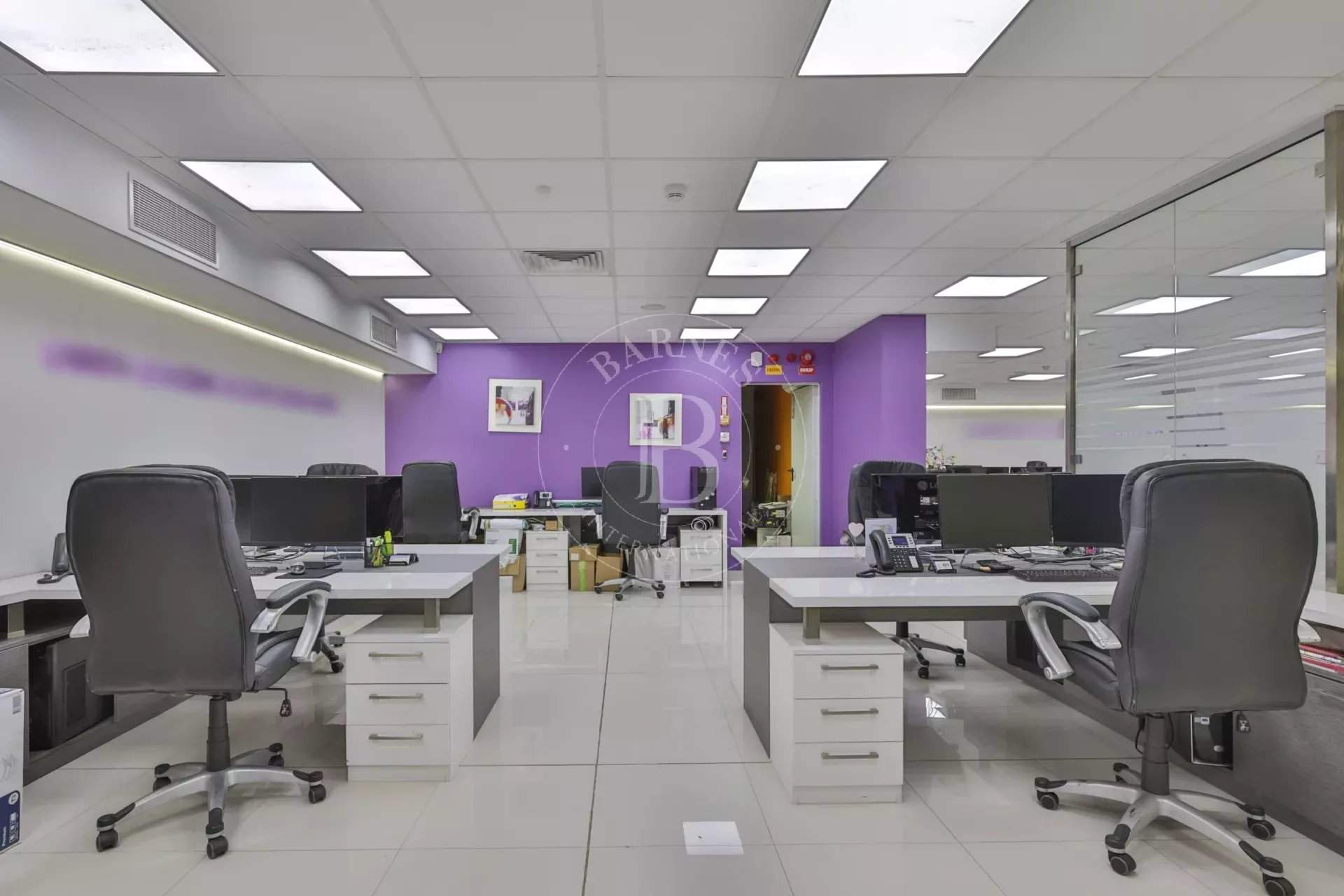 Sofia  - Offices  - picture 5