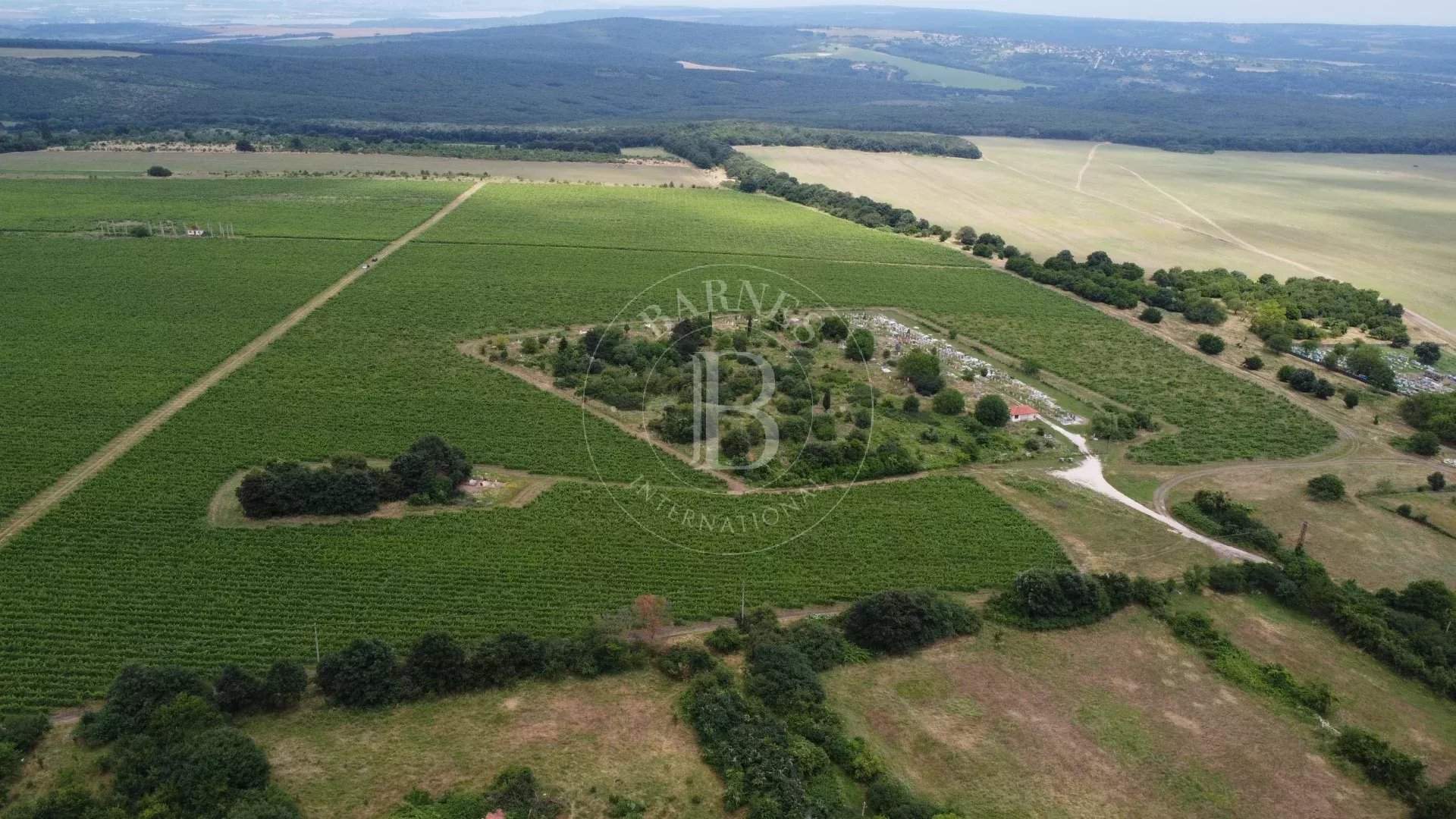 Varna  - Agricultural exploitation  - picture 2