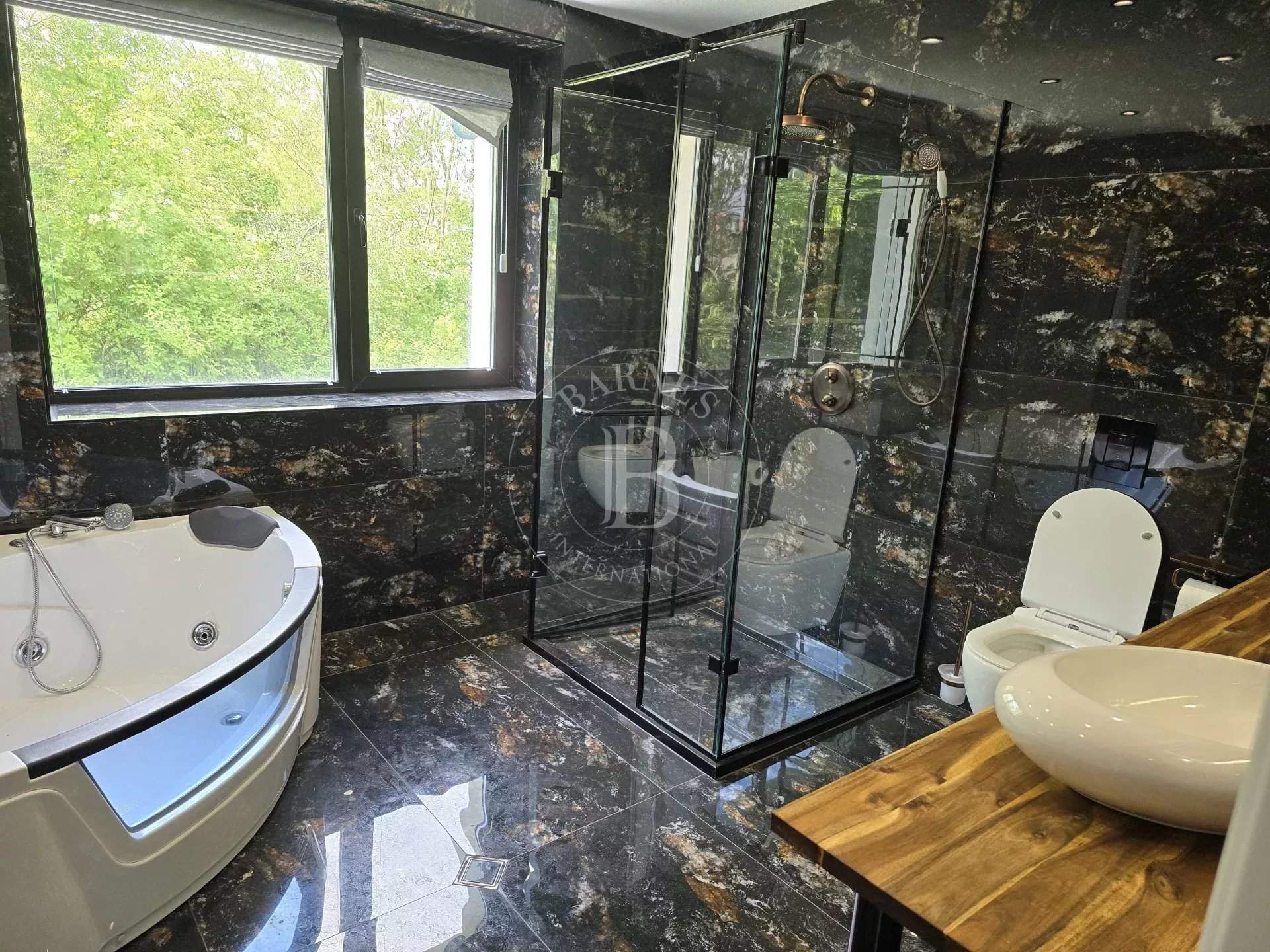 Dragichevo  - House 2 Bedrooms - picture 7