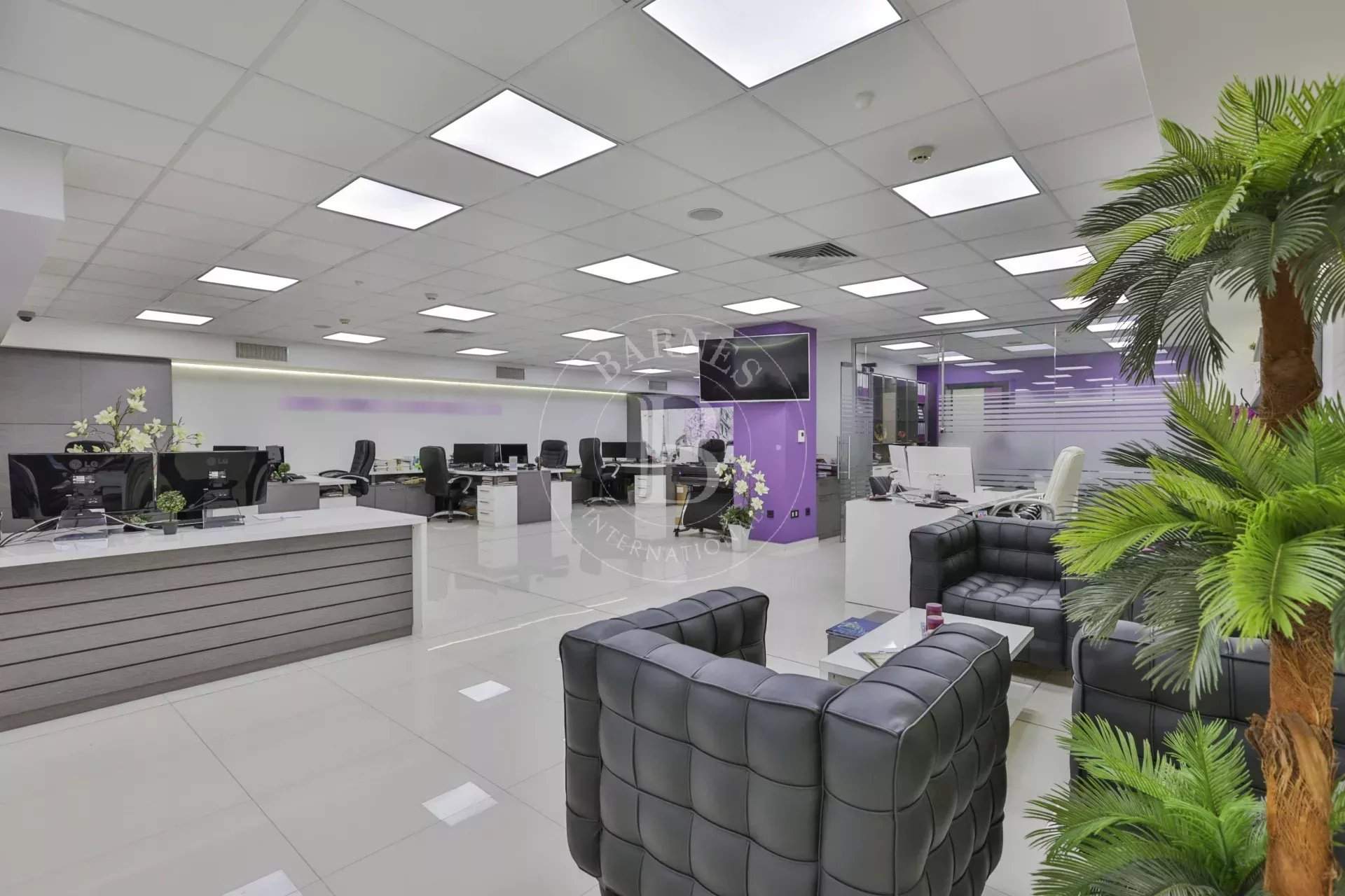 Sofia  - Offices  - picture 1