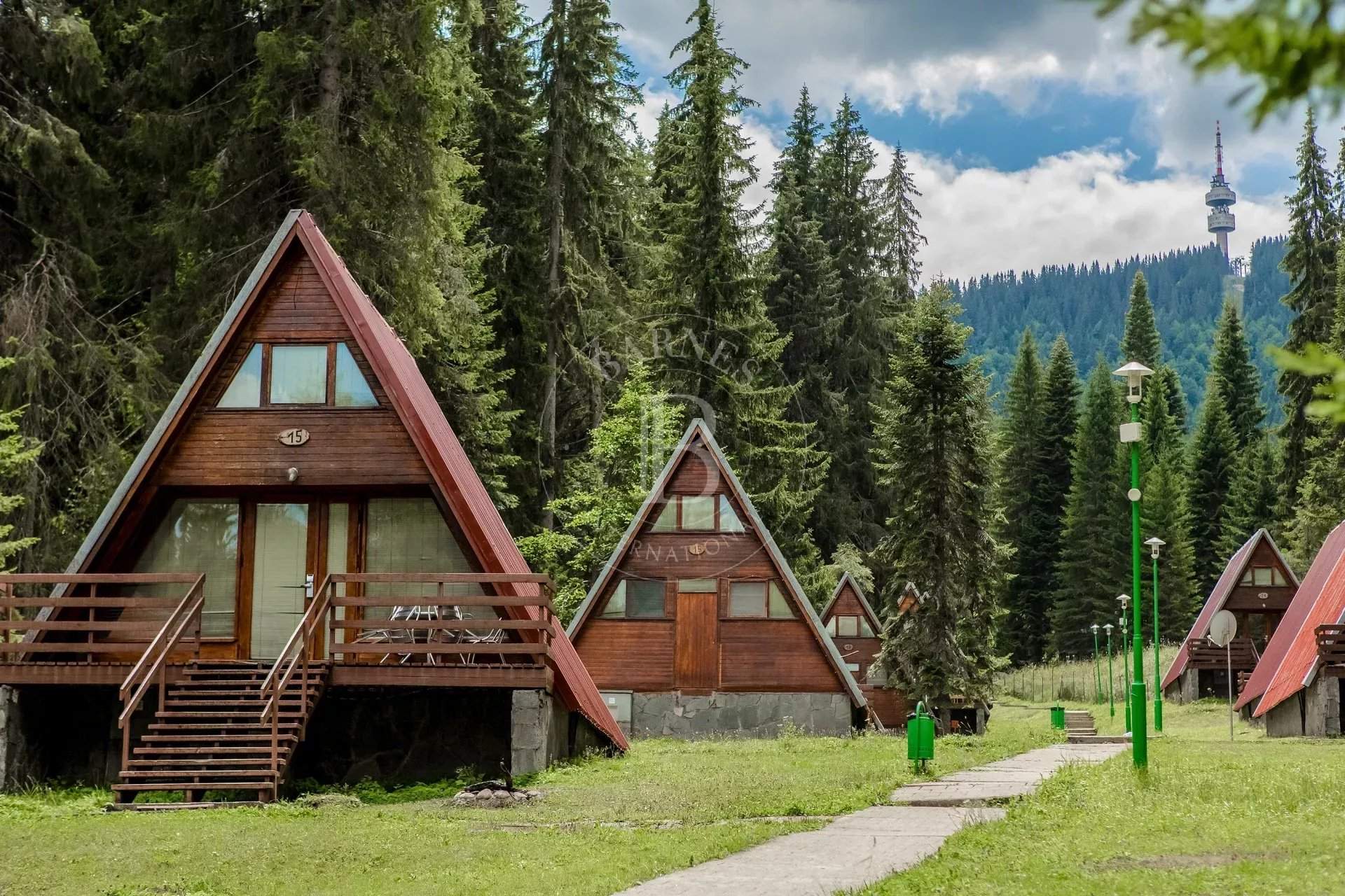 Pamporovo  - Business  - picture 4