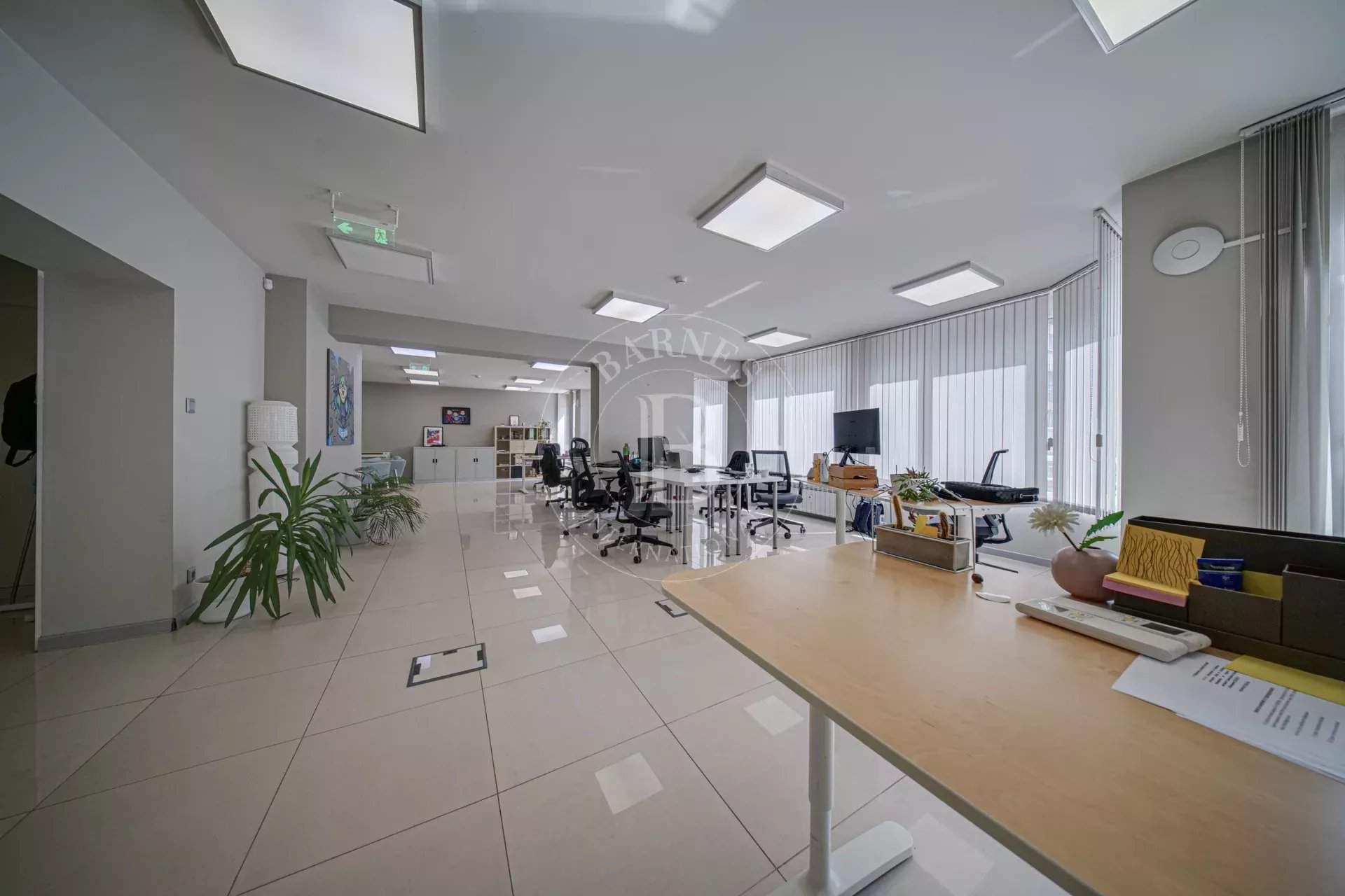 Sofia  - Offices  - picture 6