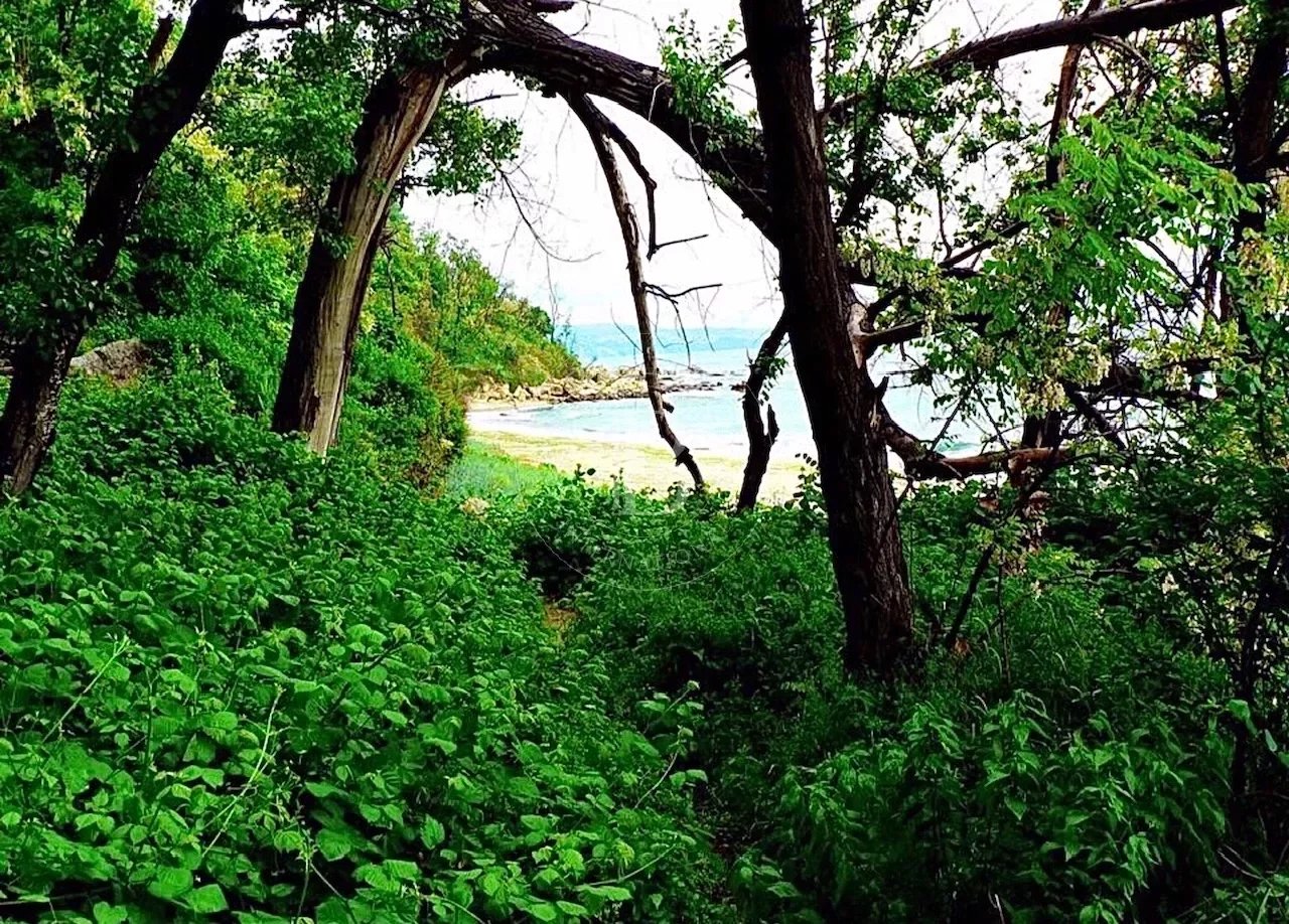 Priseltsi  - Maison 6 Pi&egrave;ces 5 Chambres - picture 5