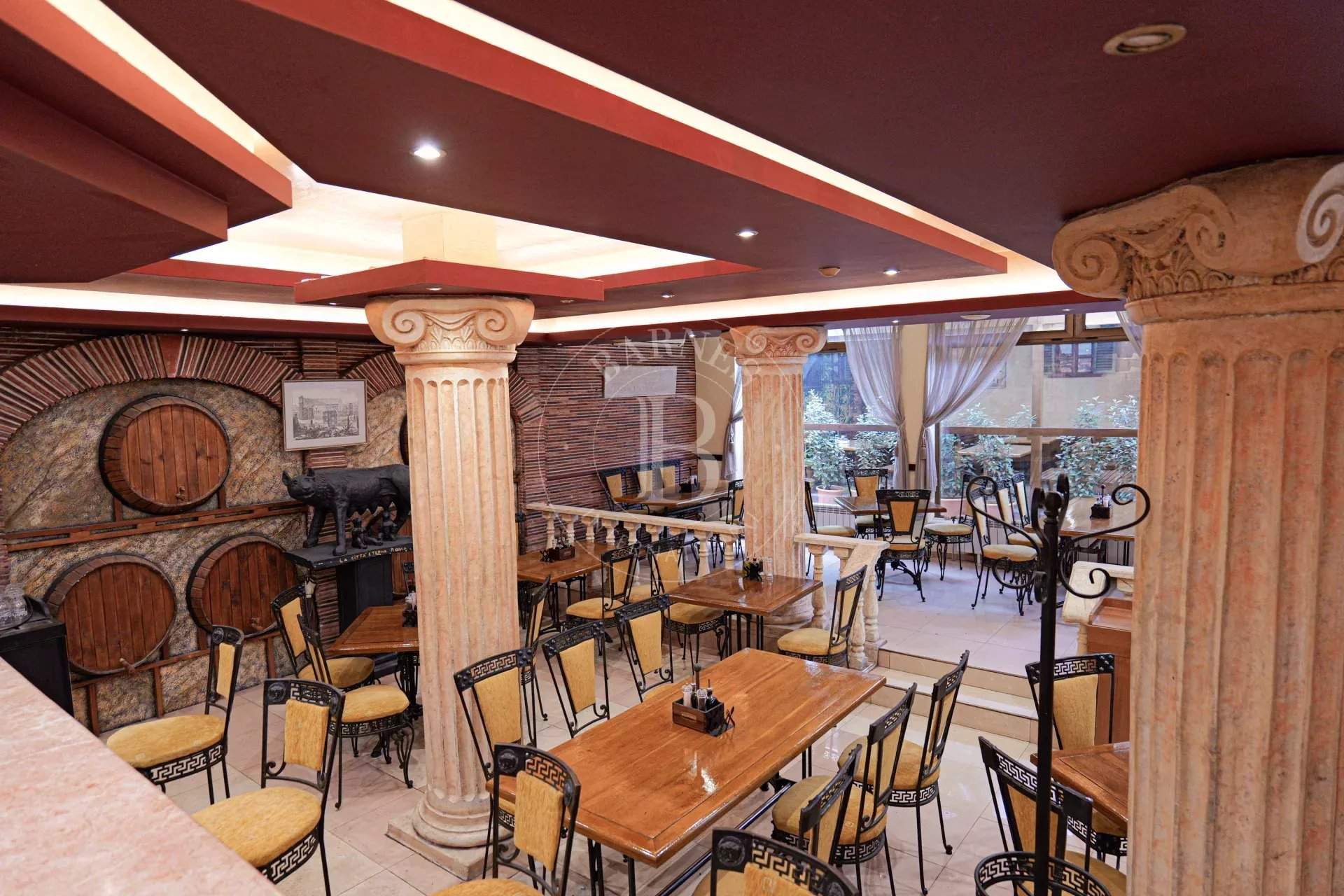 Sofia  - Business  - picture 6