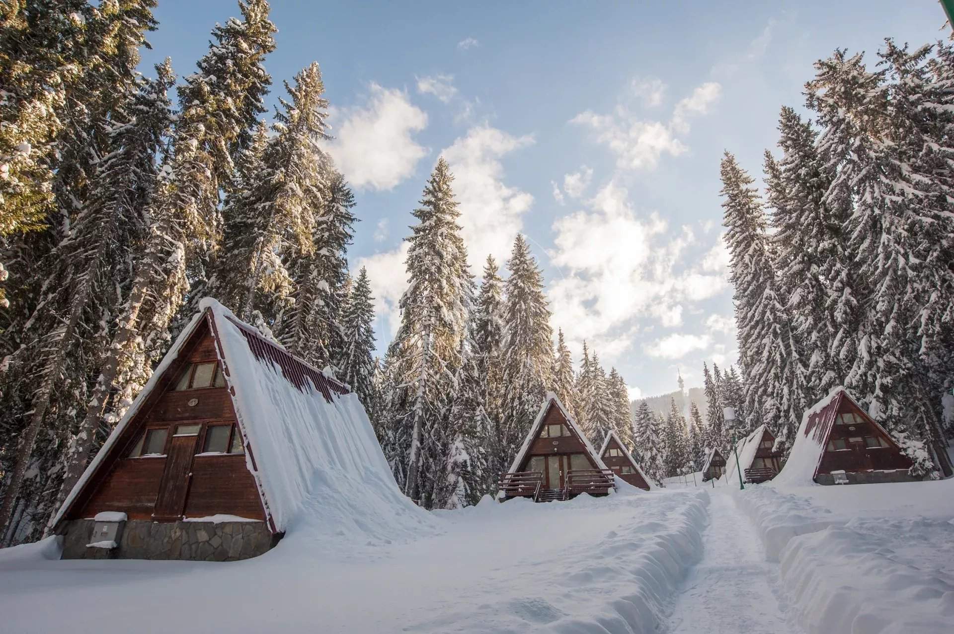 Pamporovo  - Business  - picture 10