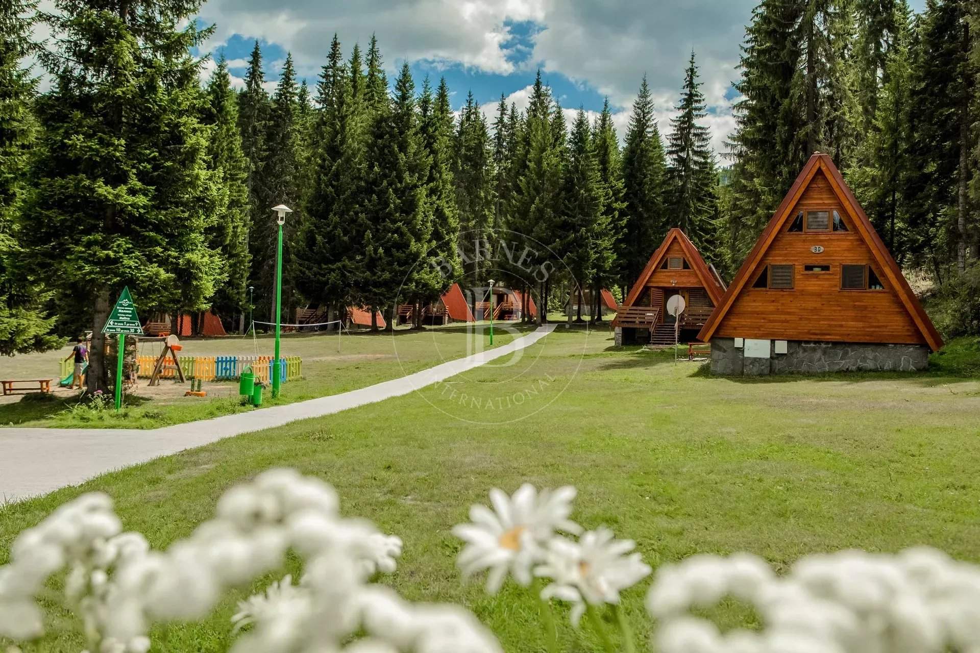 Pamporovo  - Business  - picture 19