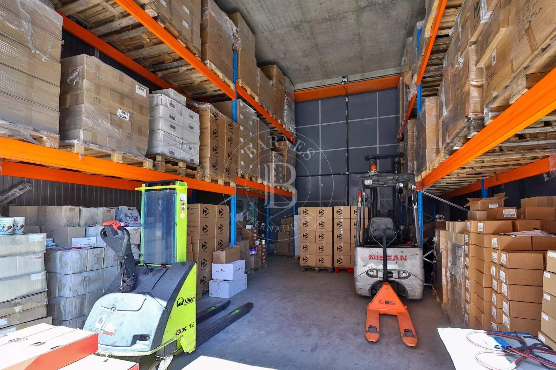 Sofia  - Building  - picture 15