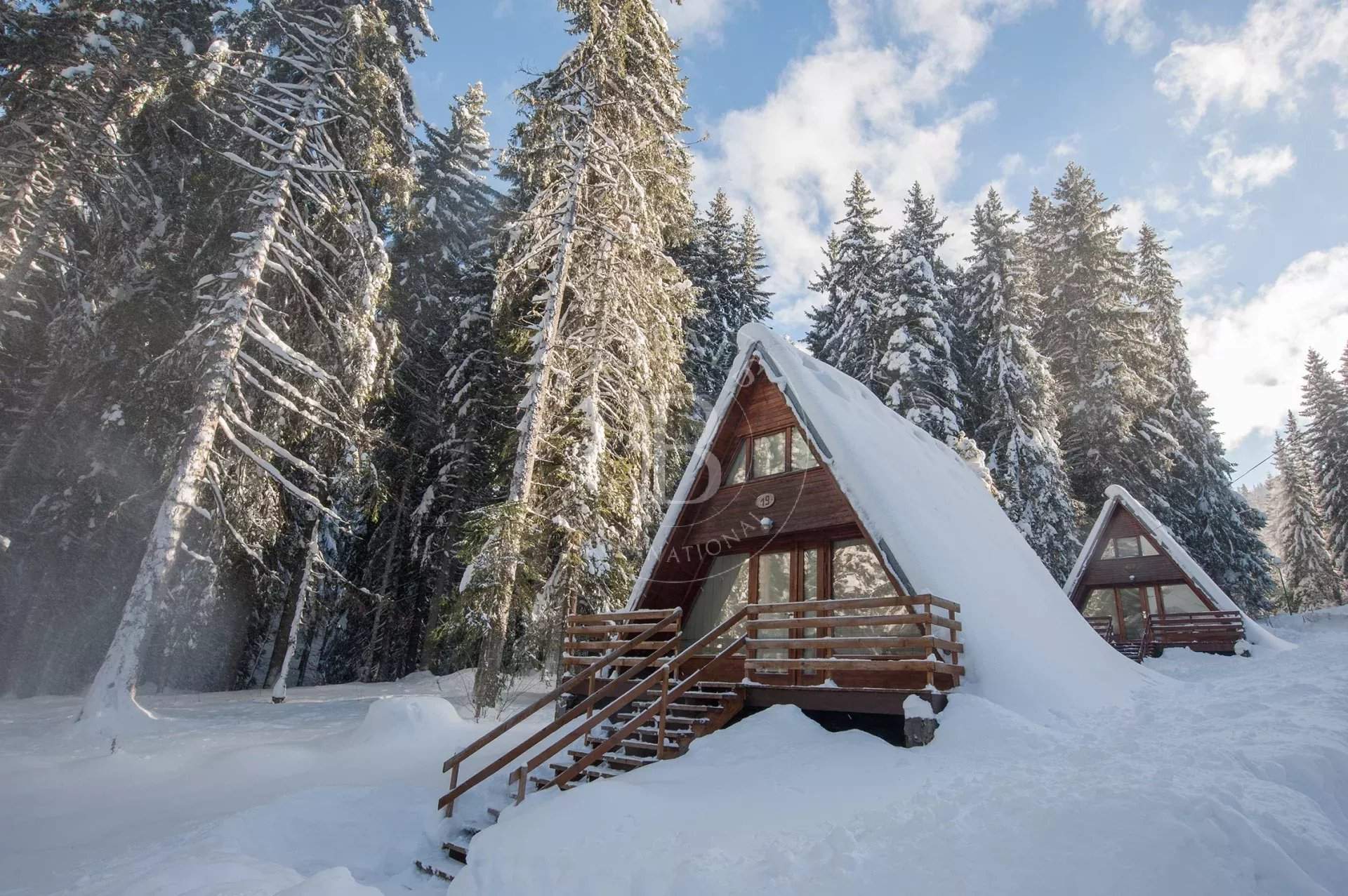 Pamporovo  - Business  - picture 20