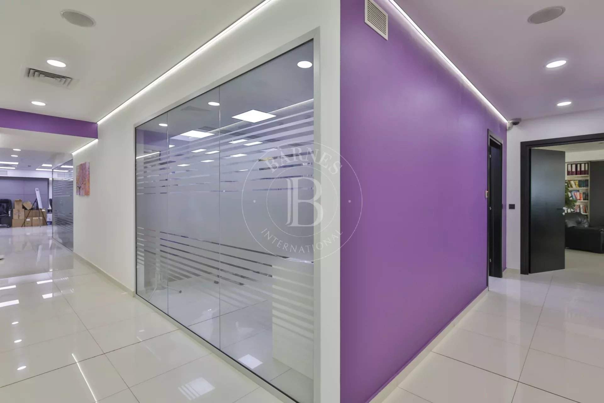 Sofia  - Offices  - picture 12