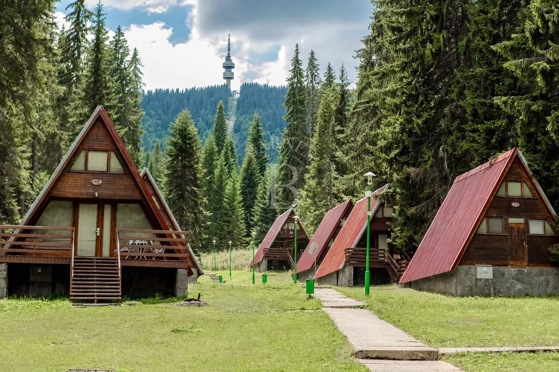 Pamporovo  - Business  - picture 8