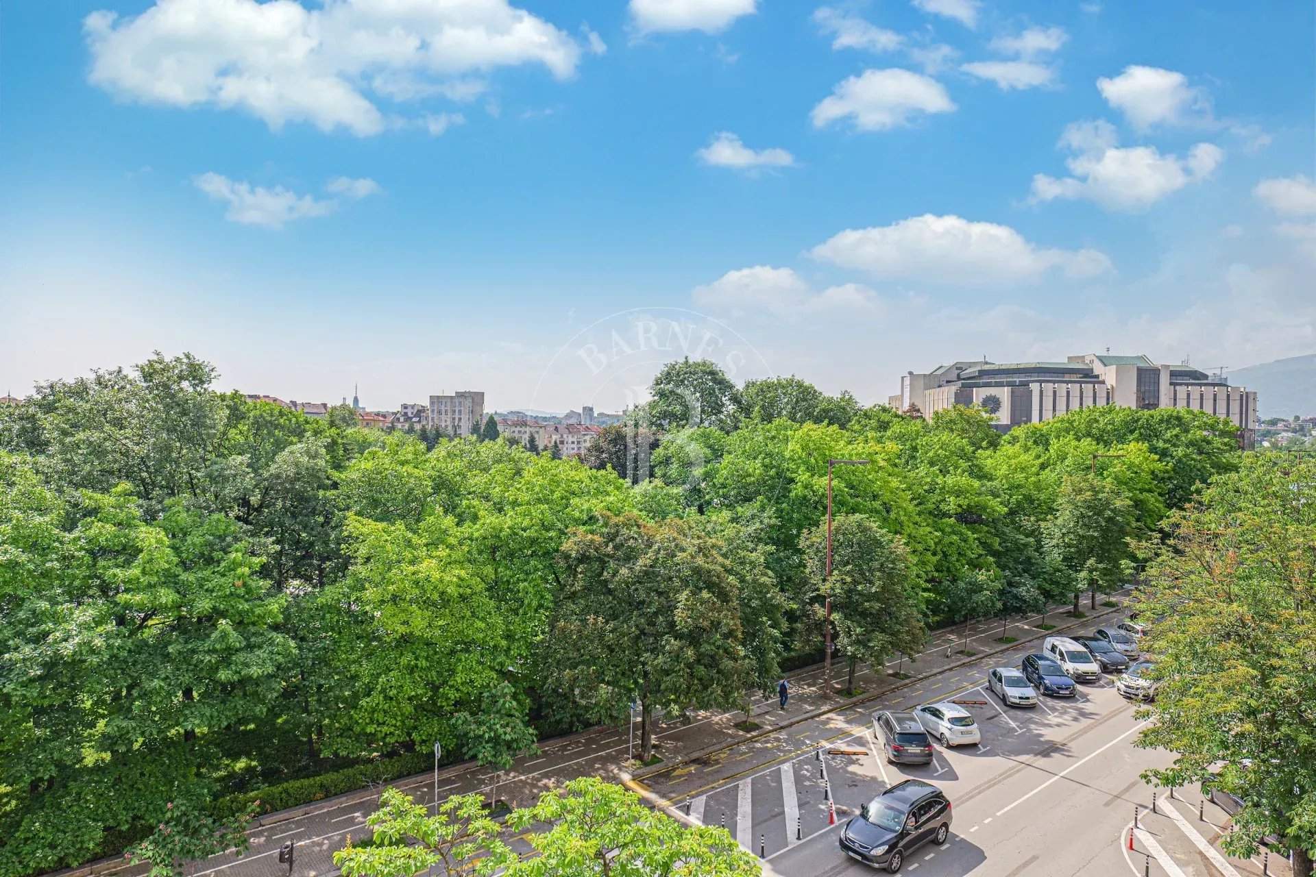 Sofia  - Business  - picture 1