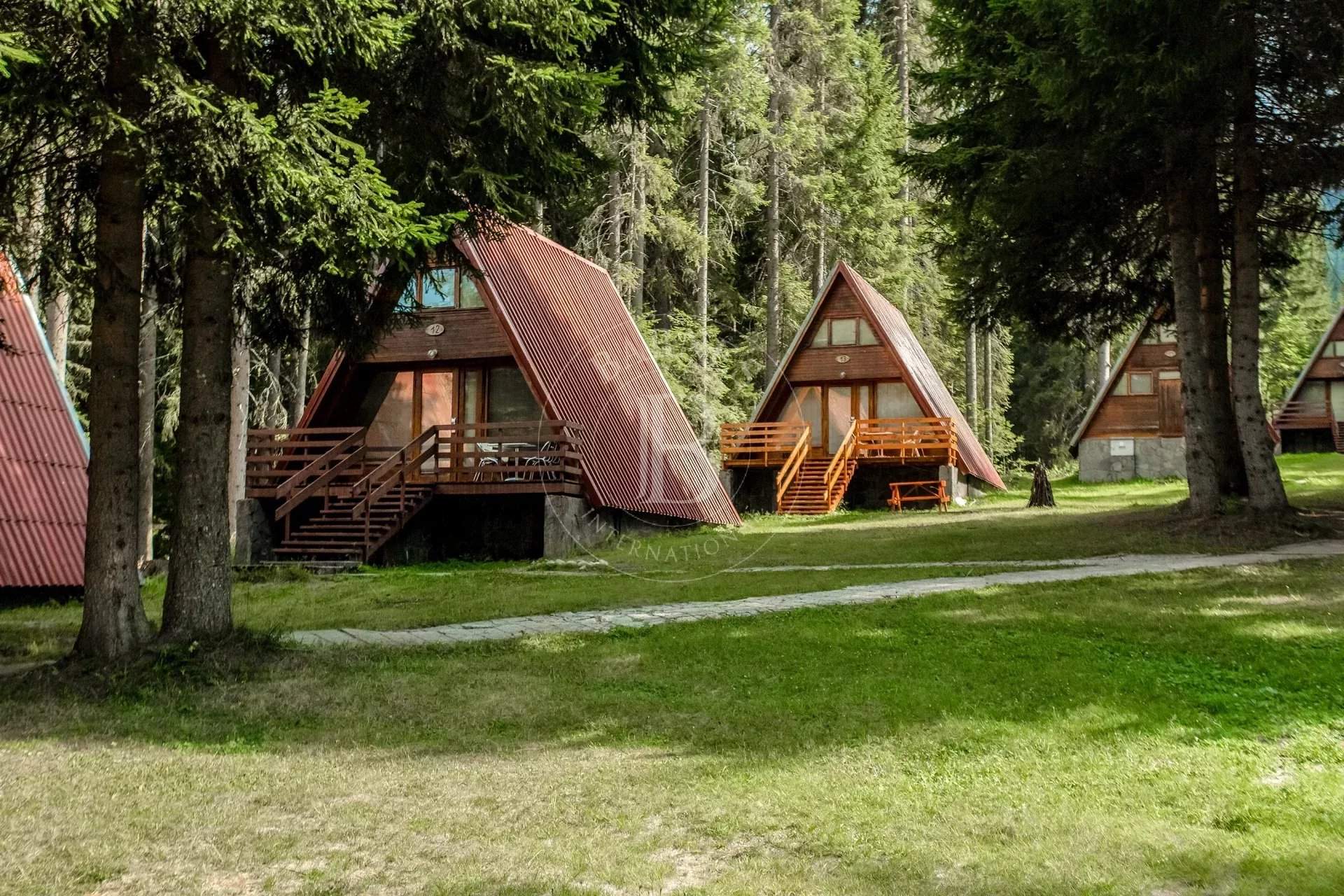 Pamporovo  - Business  - picture 3