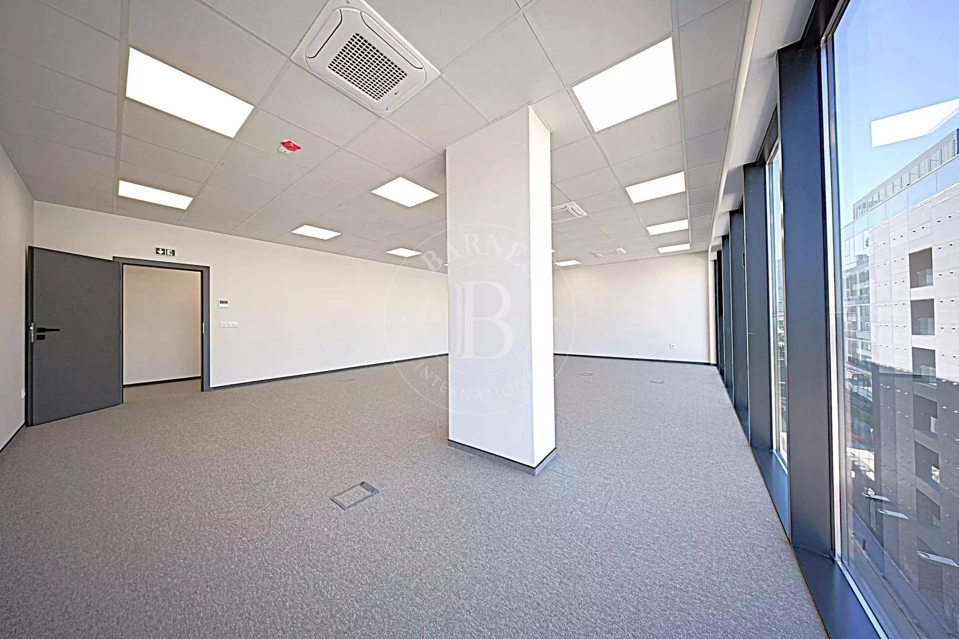 Sofia  - Bureaux  - picture 7