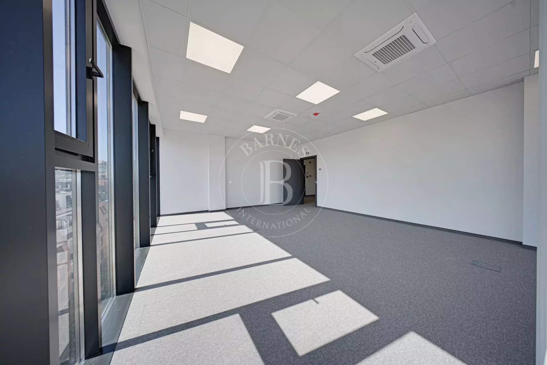 Sofia  - Offices  - picture 11