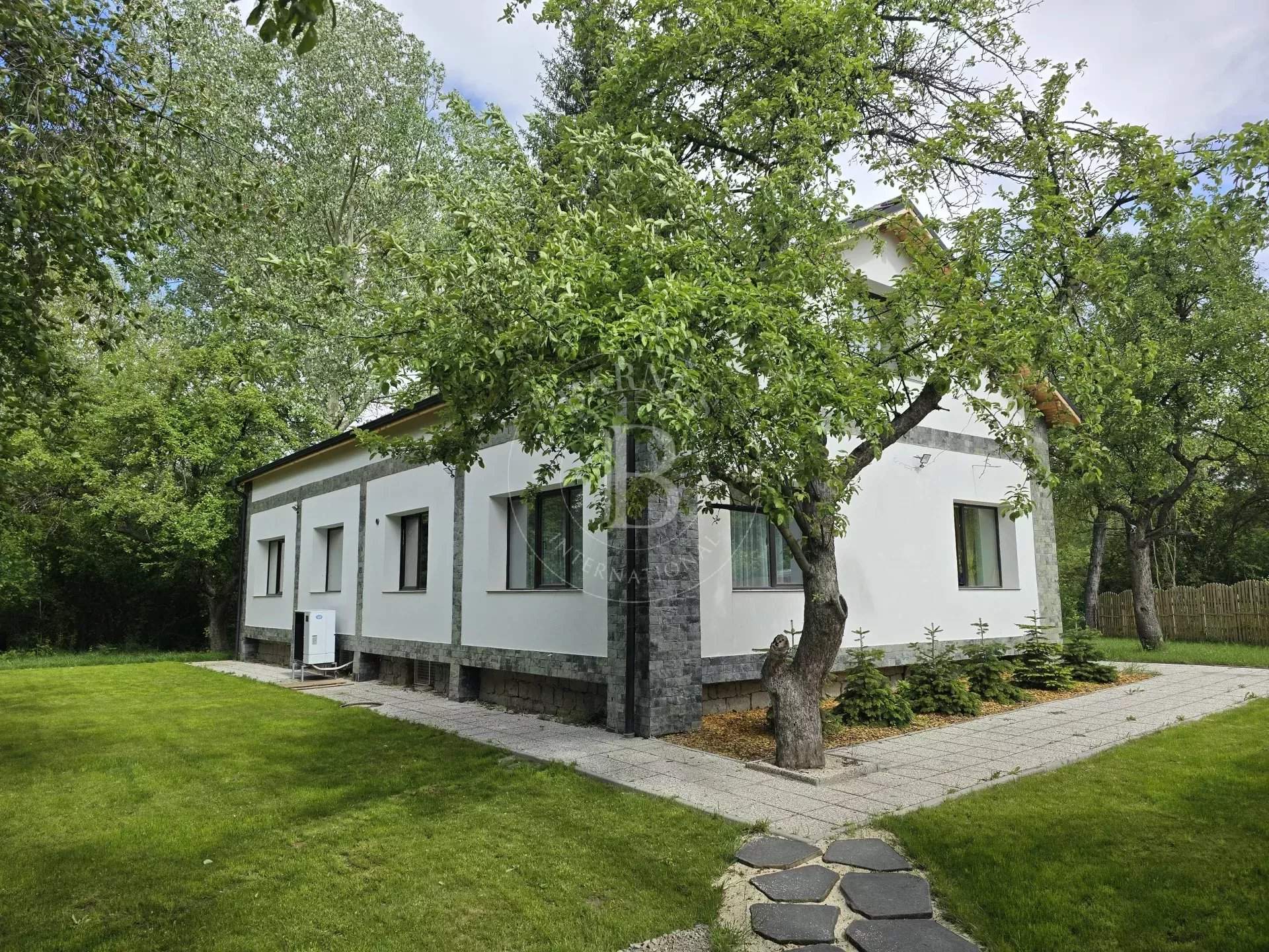 Dragichevo  - House 2 Bedrooms - picture 1