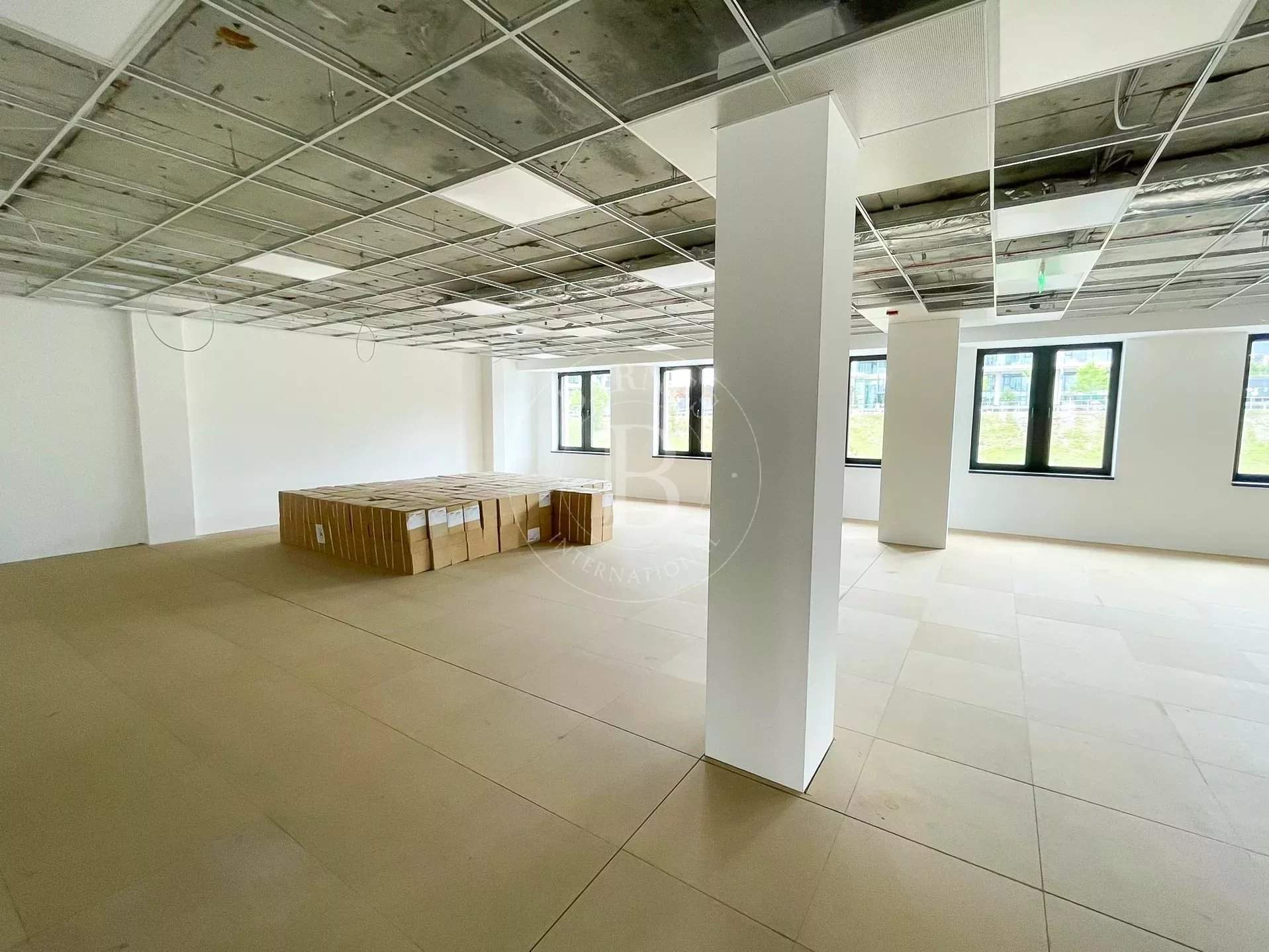 Sofia  - Offices  - picture 18