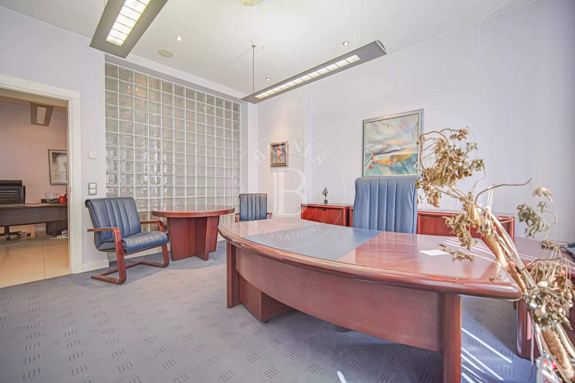 Sofia  - Offices  - picture 16