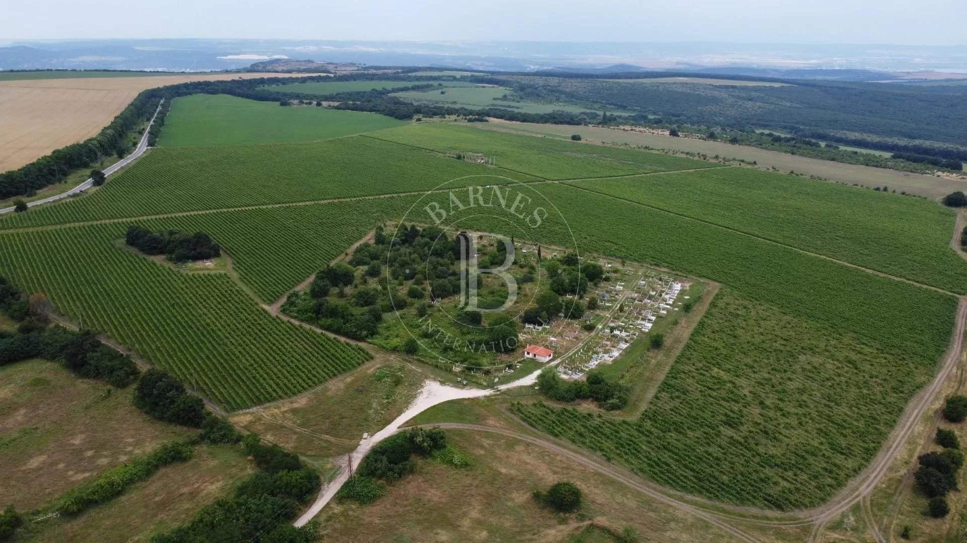 Varna  - Agricultural exploitation  - picture 3
