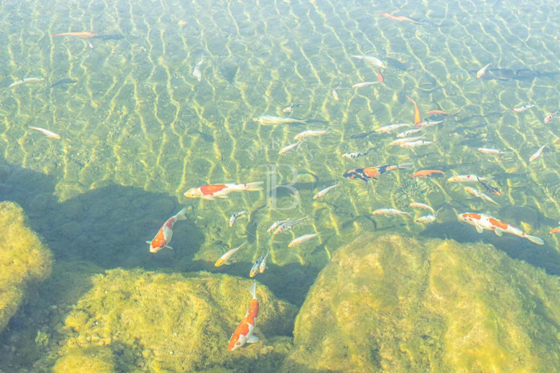 Garmen  - House 4 Bedrooms - picture 7