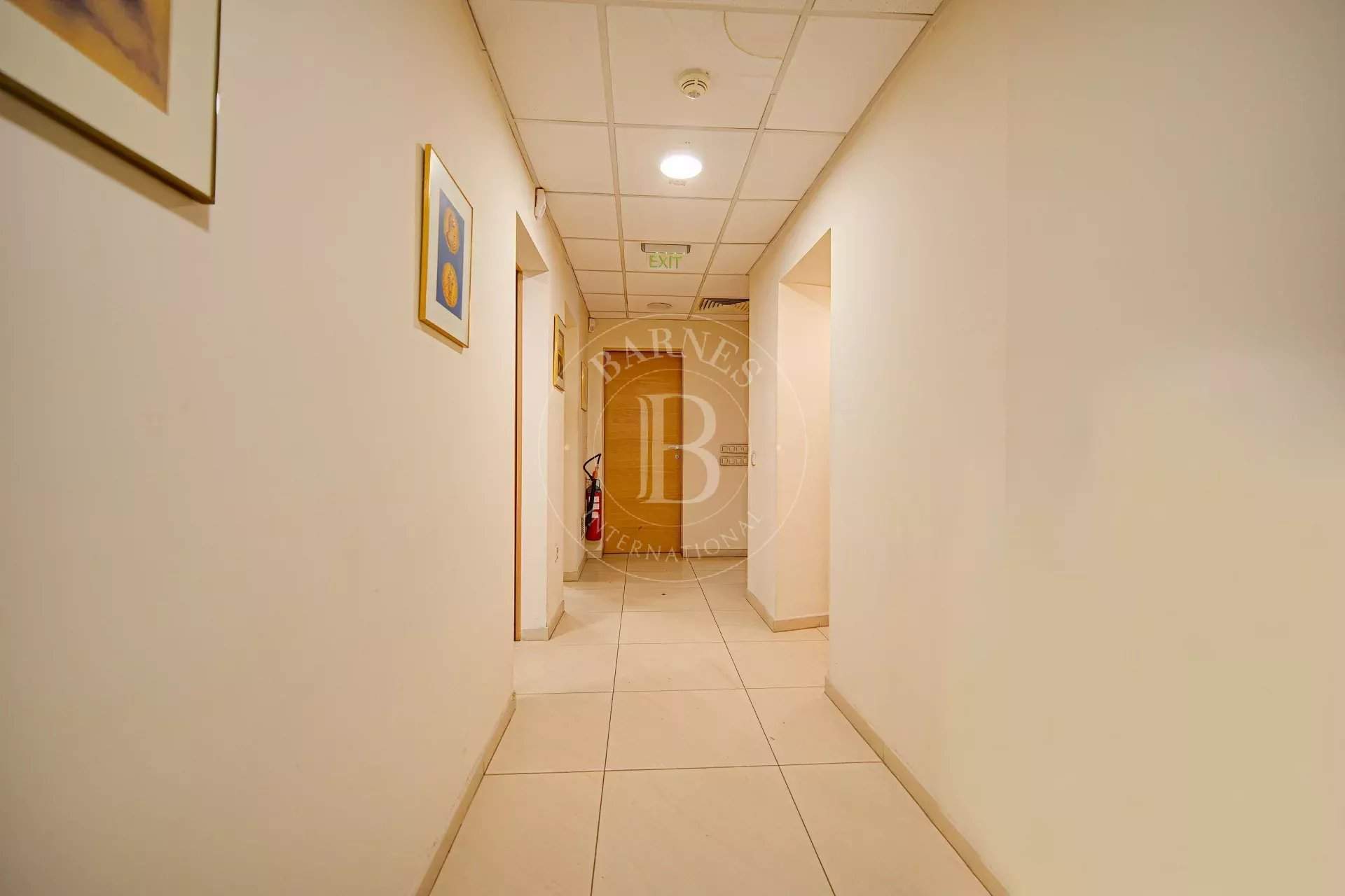 Sofia  - Offices  - picture 15