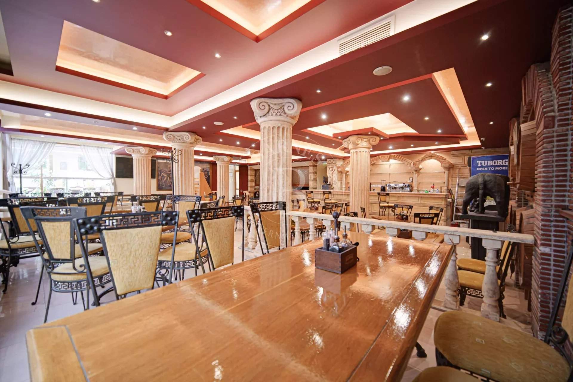 Sofia  - Business  - picture 5