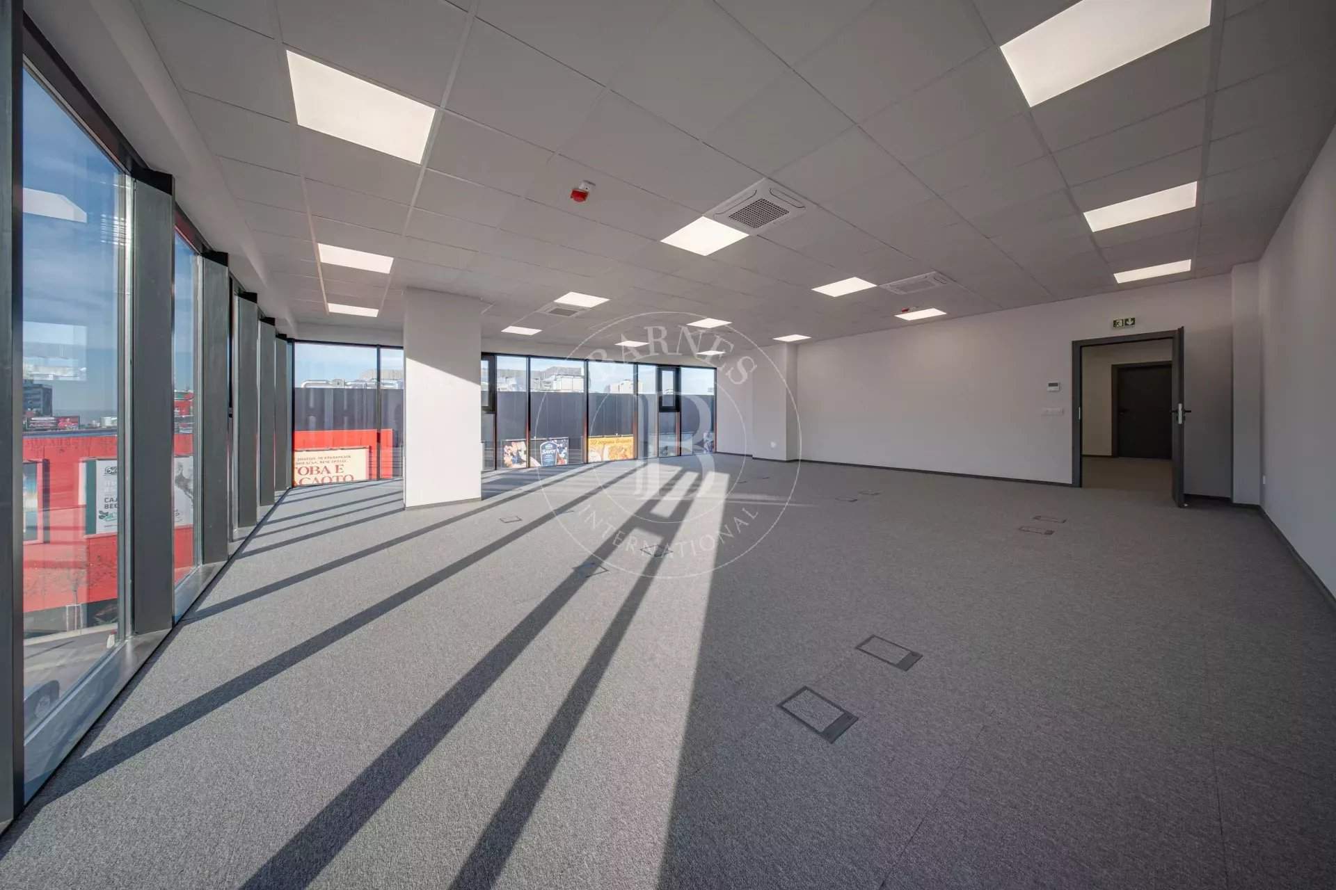 Sofia  - Bureaux  - picture 3