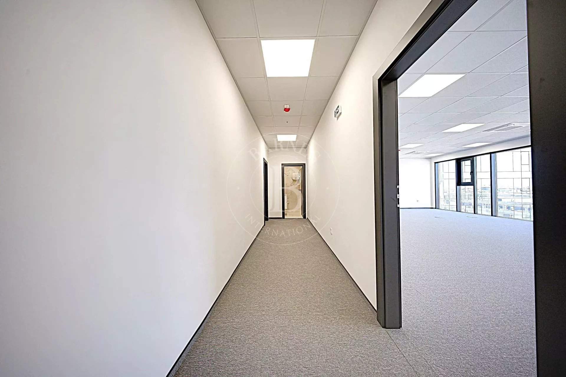 Sofia  - Bureaux  - picture 12