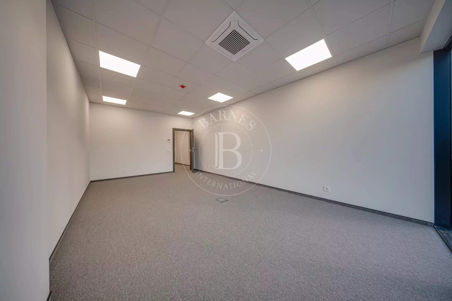 Sofia  - Bureaux  - picture 10