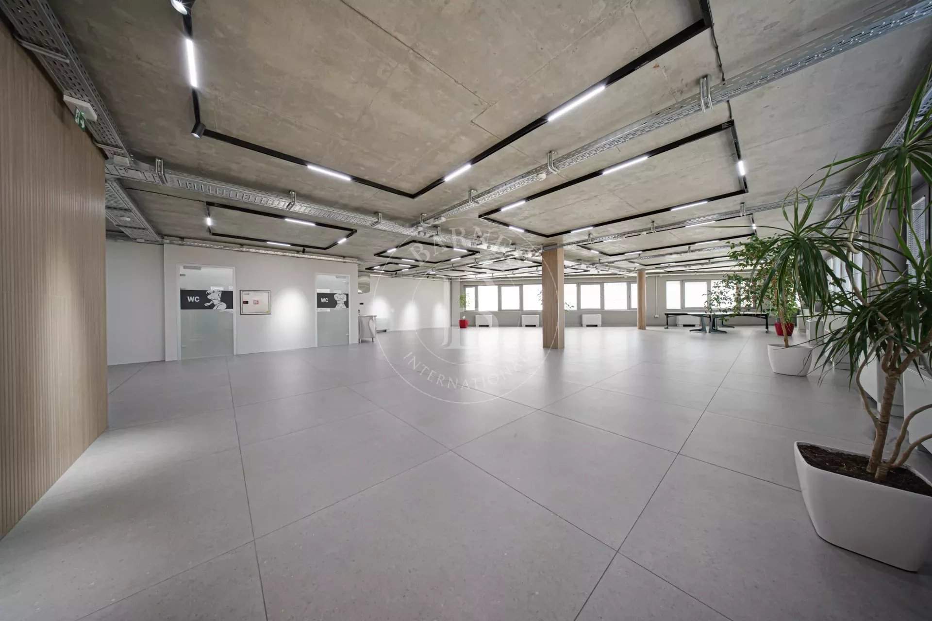 Sofia  - Offices  - picture 3