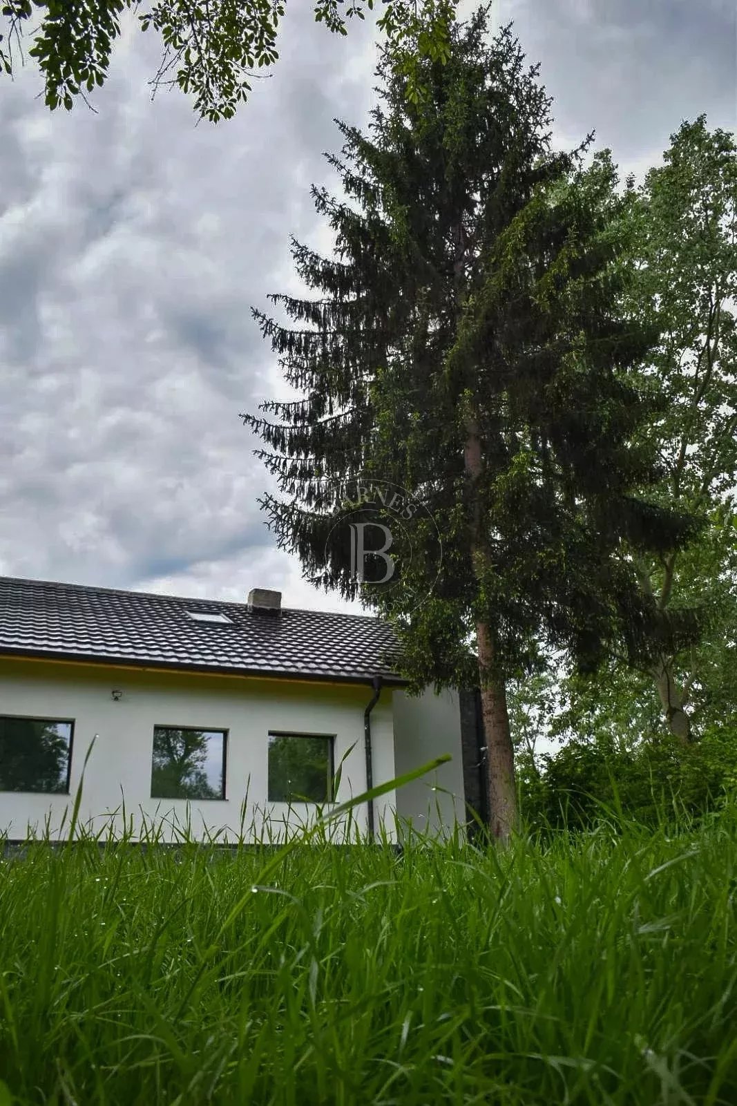 Dragichevo  - House 2 Bedrooms - picture 18