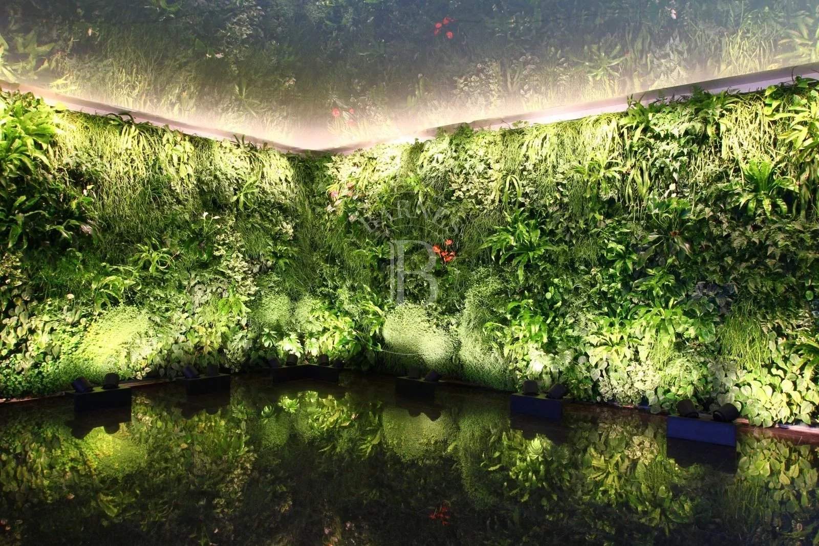 Sofia  - Immeuble  - picture 5