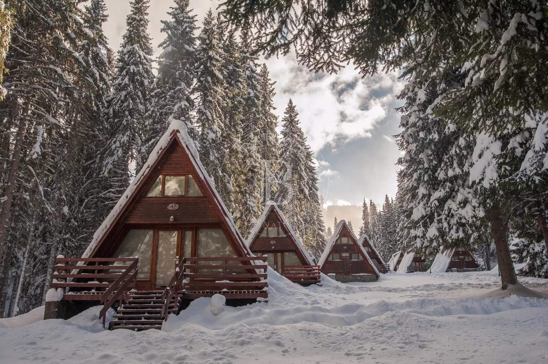 Pamporovo  - Business  - picture 1