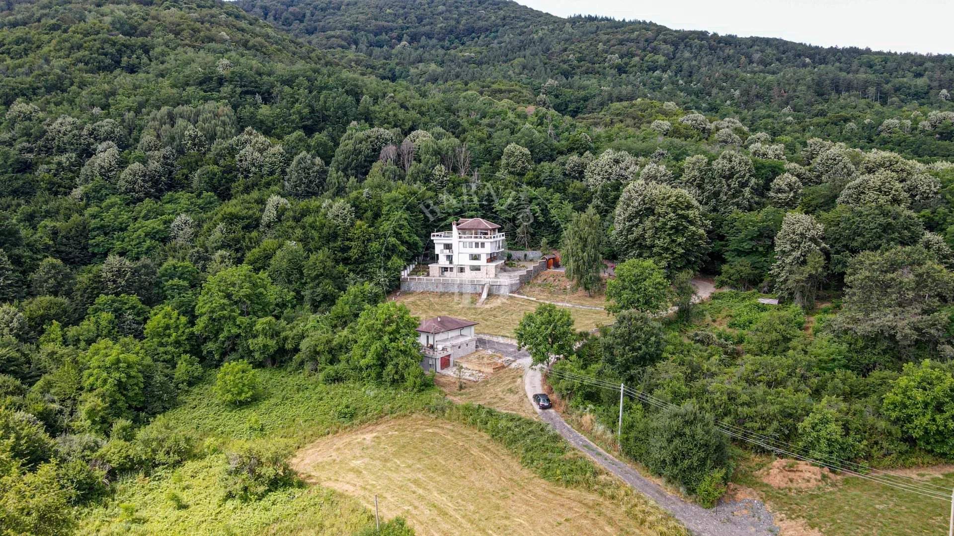 Pravets  - Mansion 1 Bedroom - picture 9