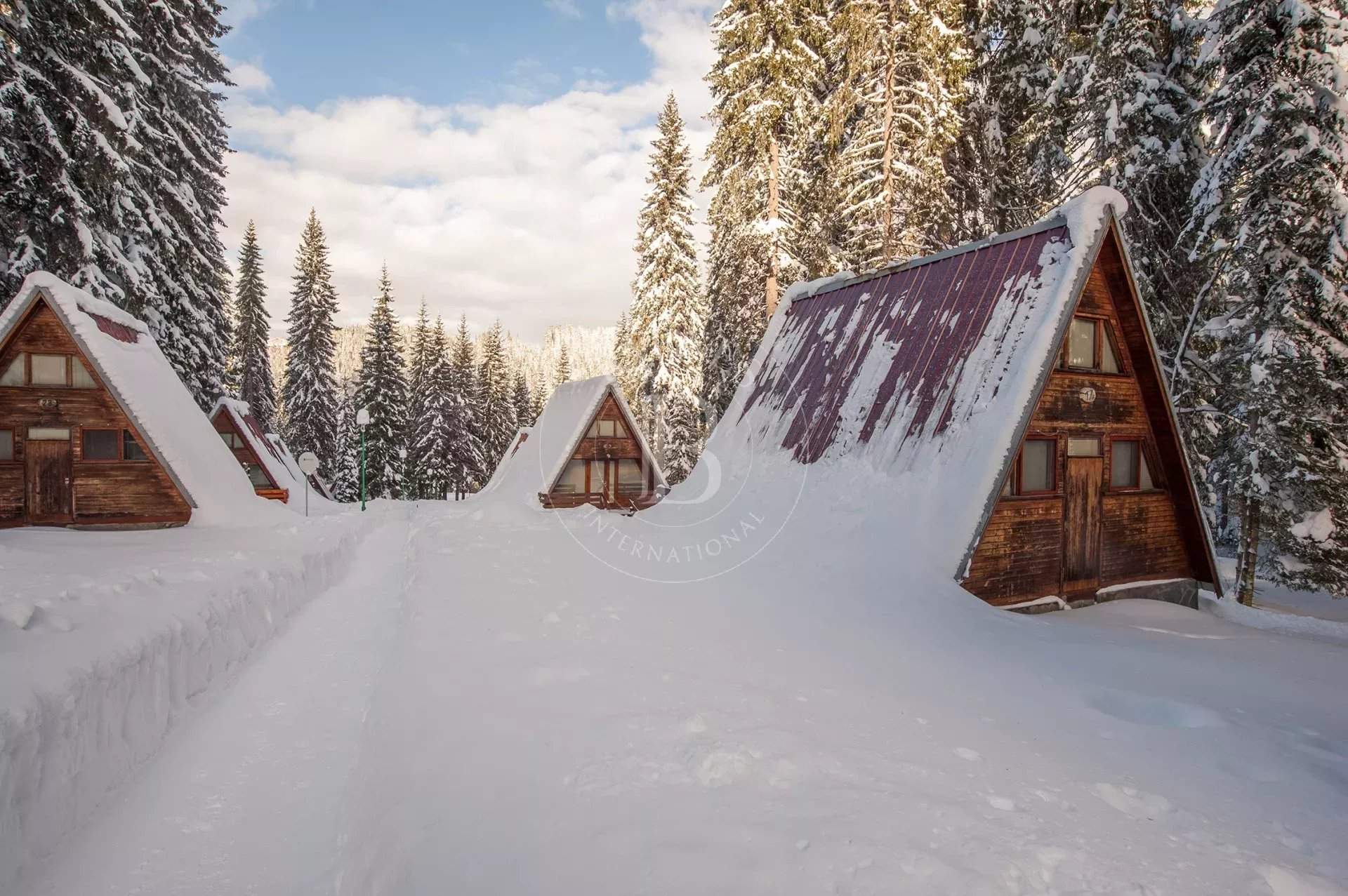 Pamporovo  - Business  - picture 2