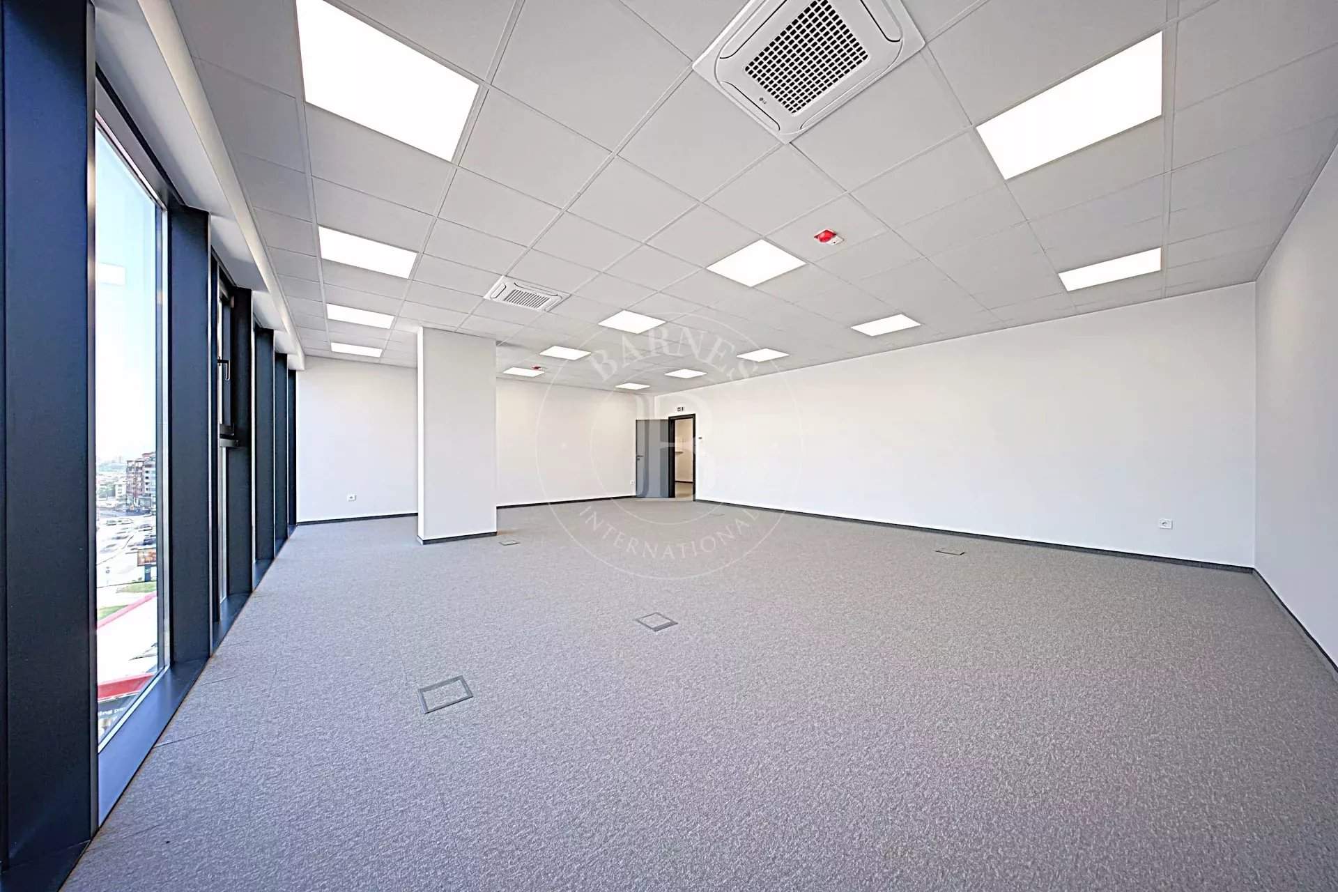 Sofia  - Bureaux  - picture 3