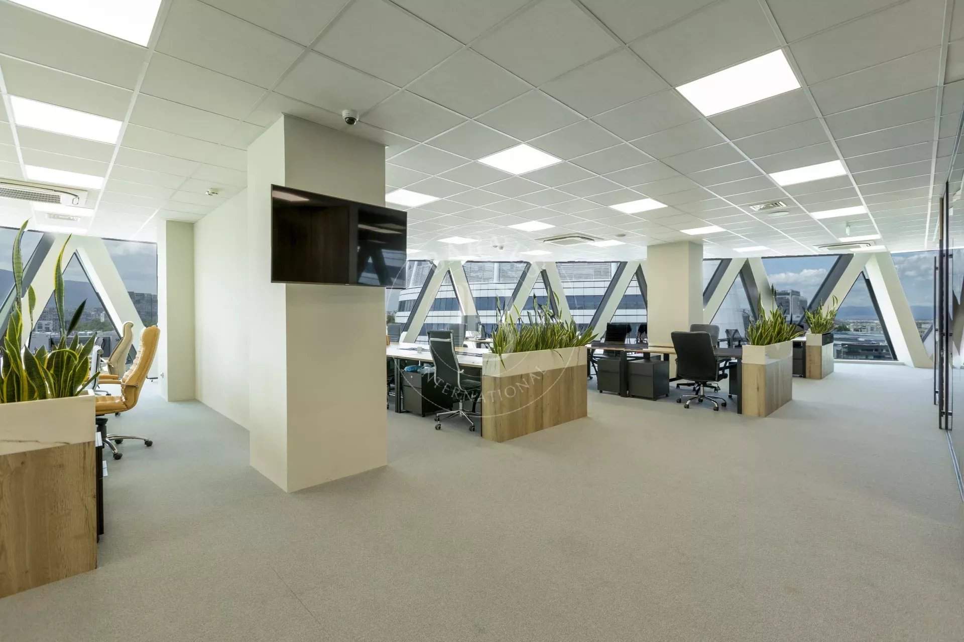 Sofia  - Offices  - picture 3
