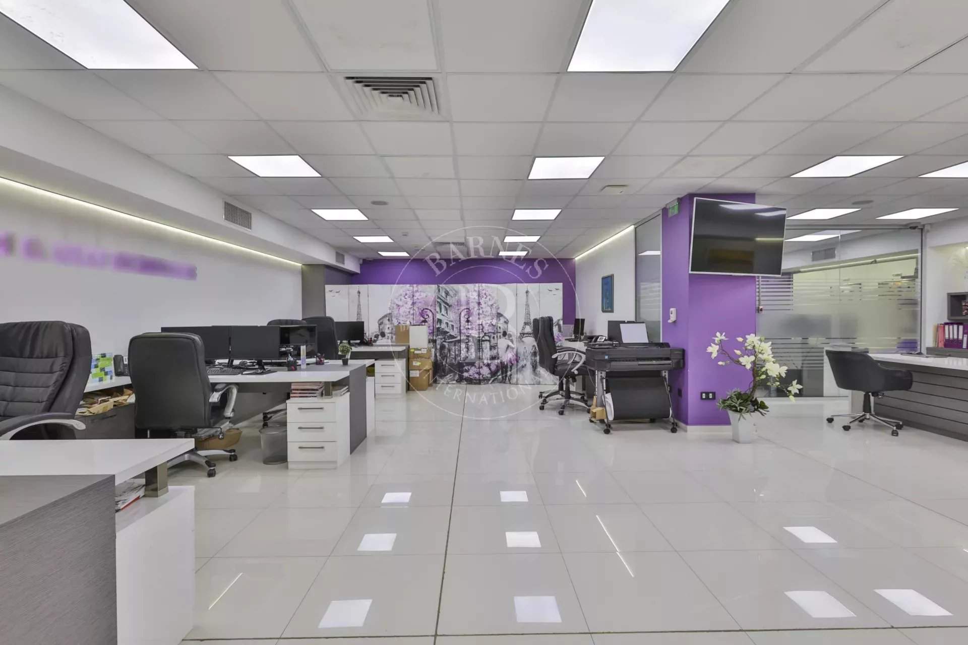 Sofia  - Offices  - picture 8